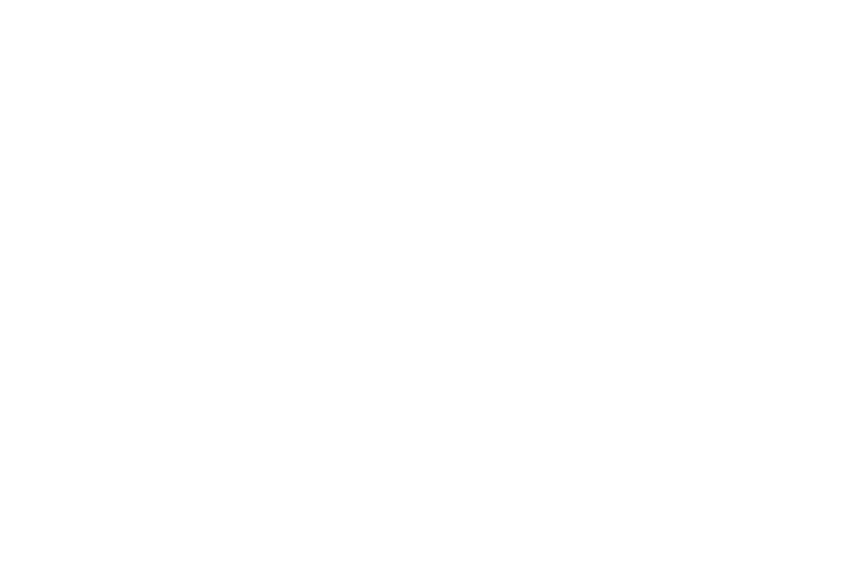 OFFICIAL SELECTION - Film Invasion Los Angeles - Find Happy 2017.png