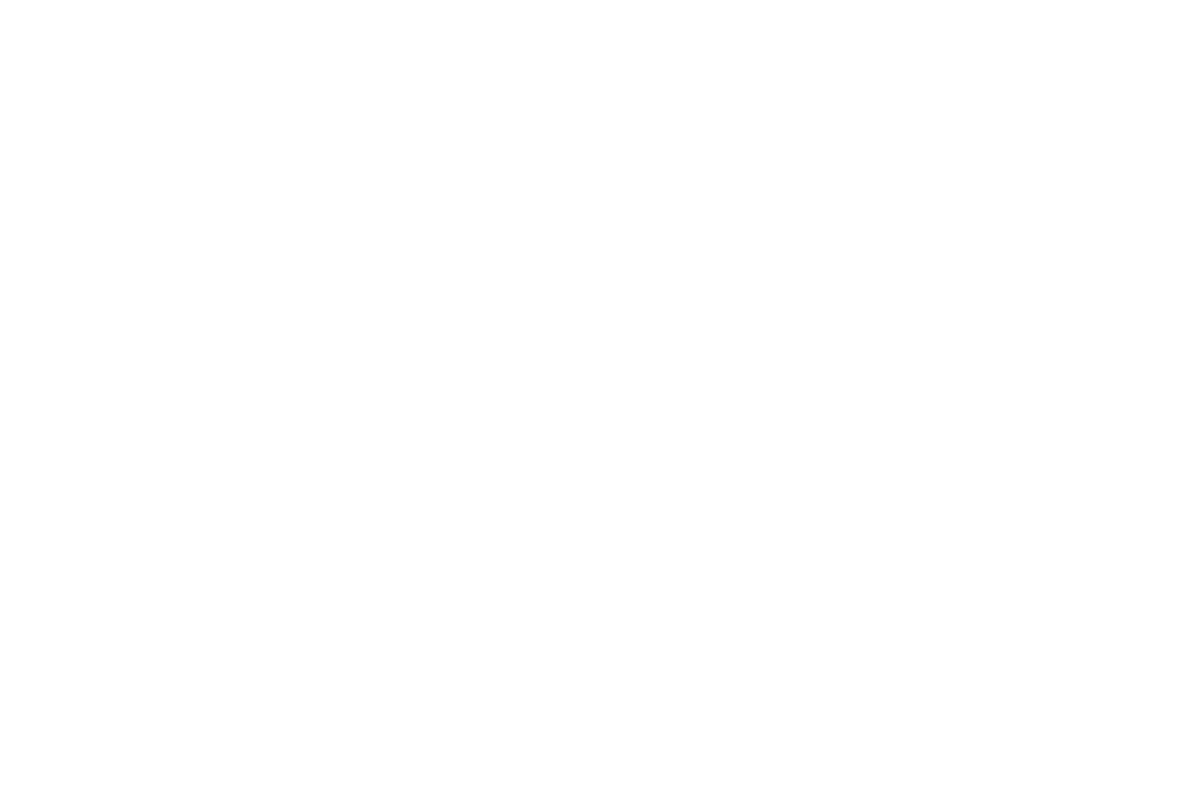 SEMI-FINALIST - Los Angeles CineFest - Adam 2017.png