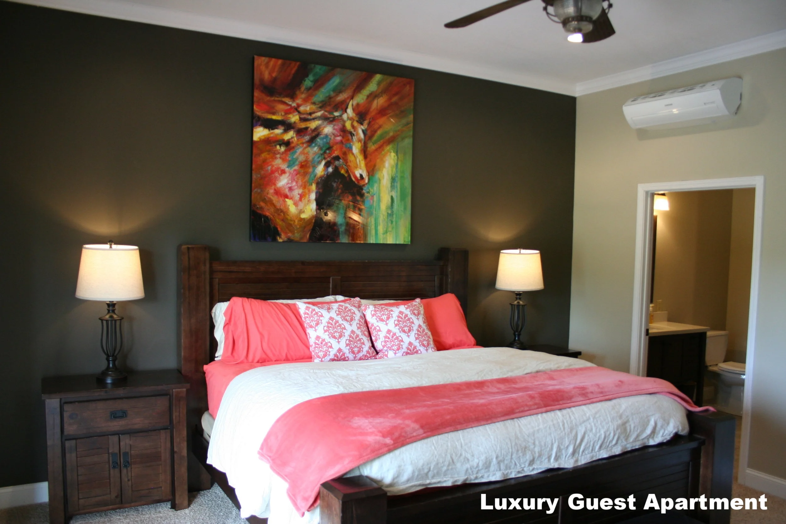 Luxury Guest Apartment