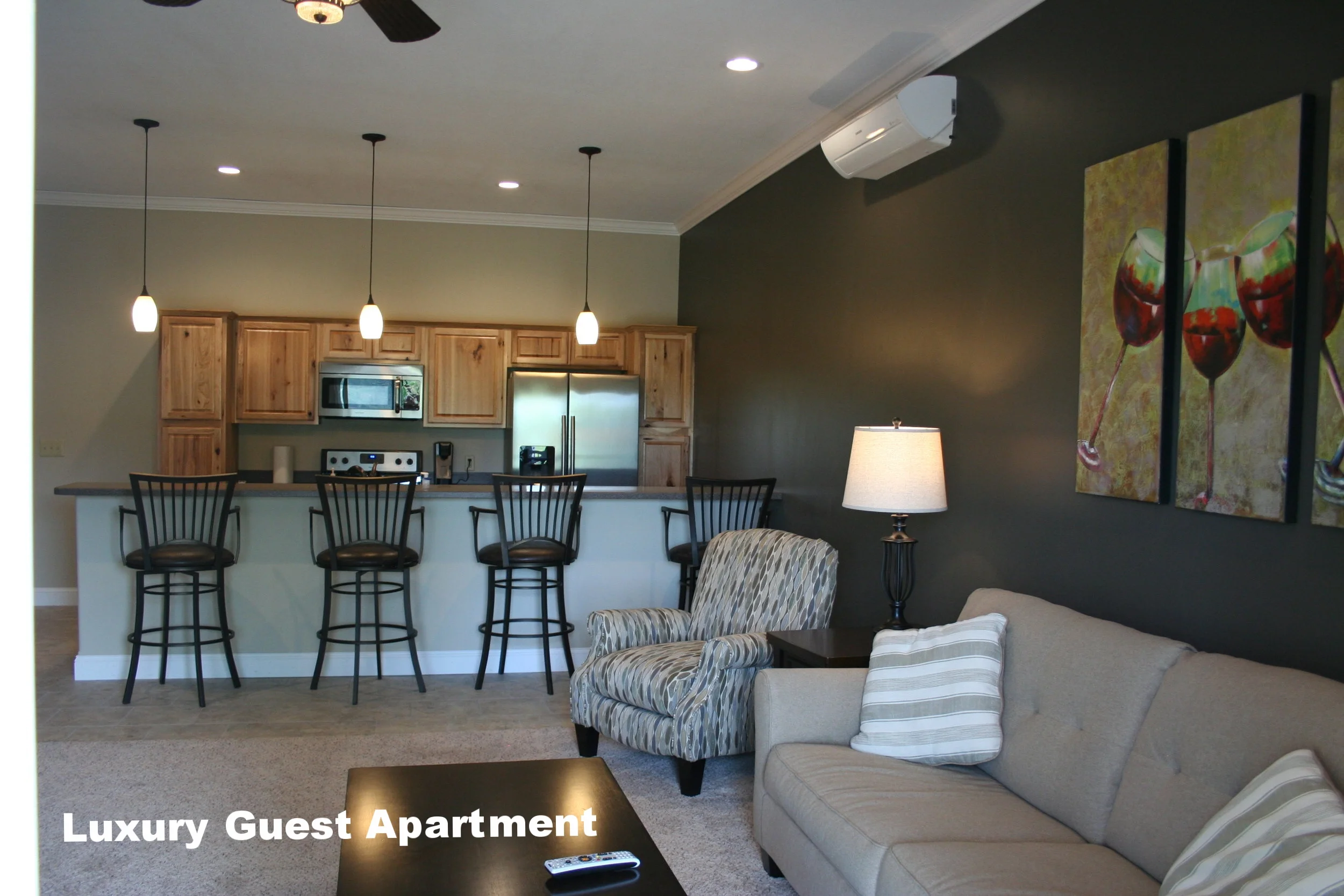 Luxury Guest Apartment