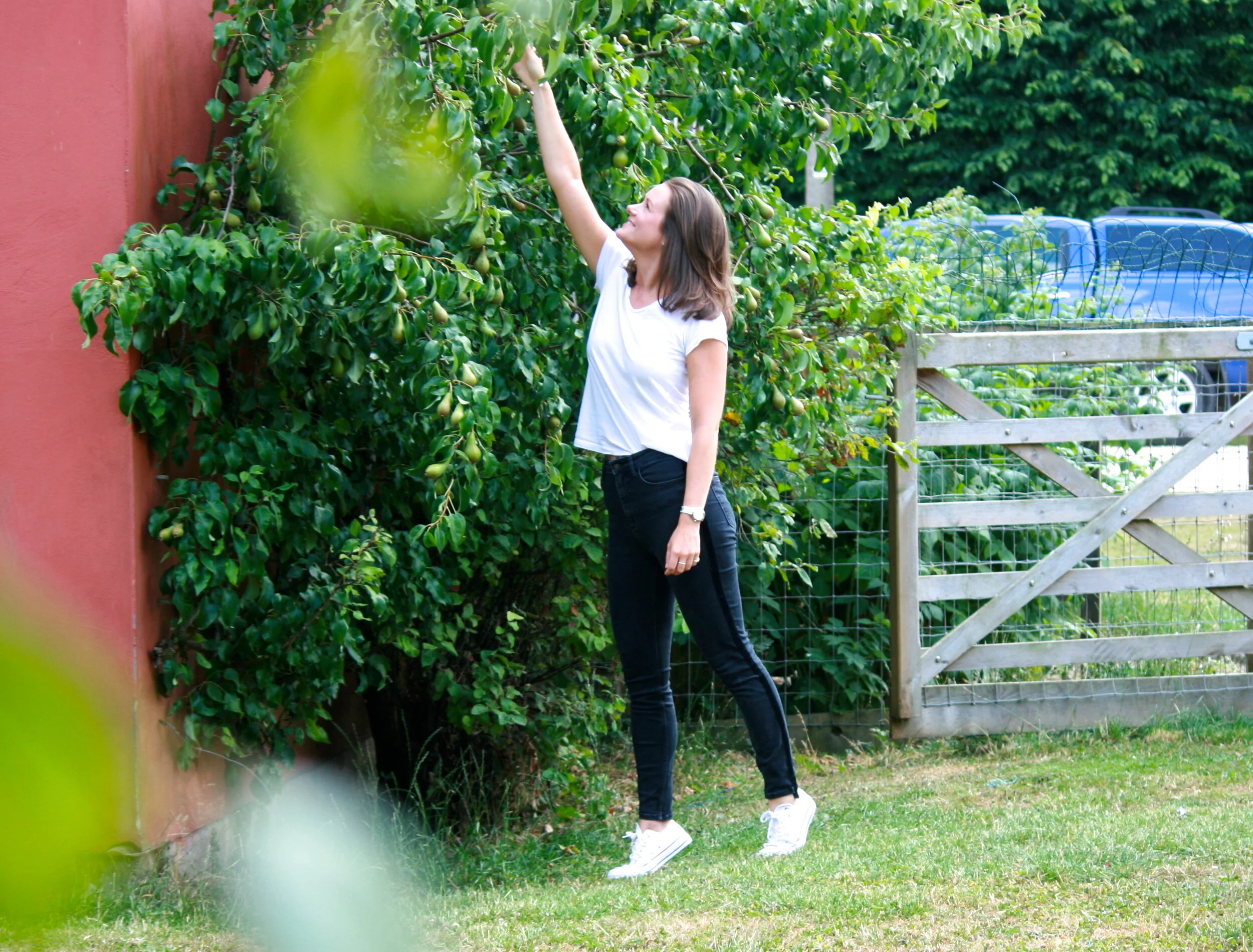 Is there a cure for Crohns and Colitis?