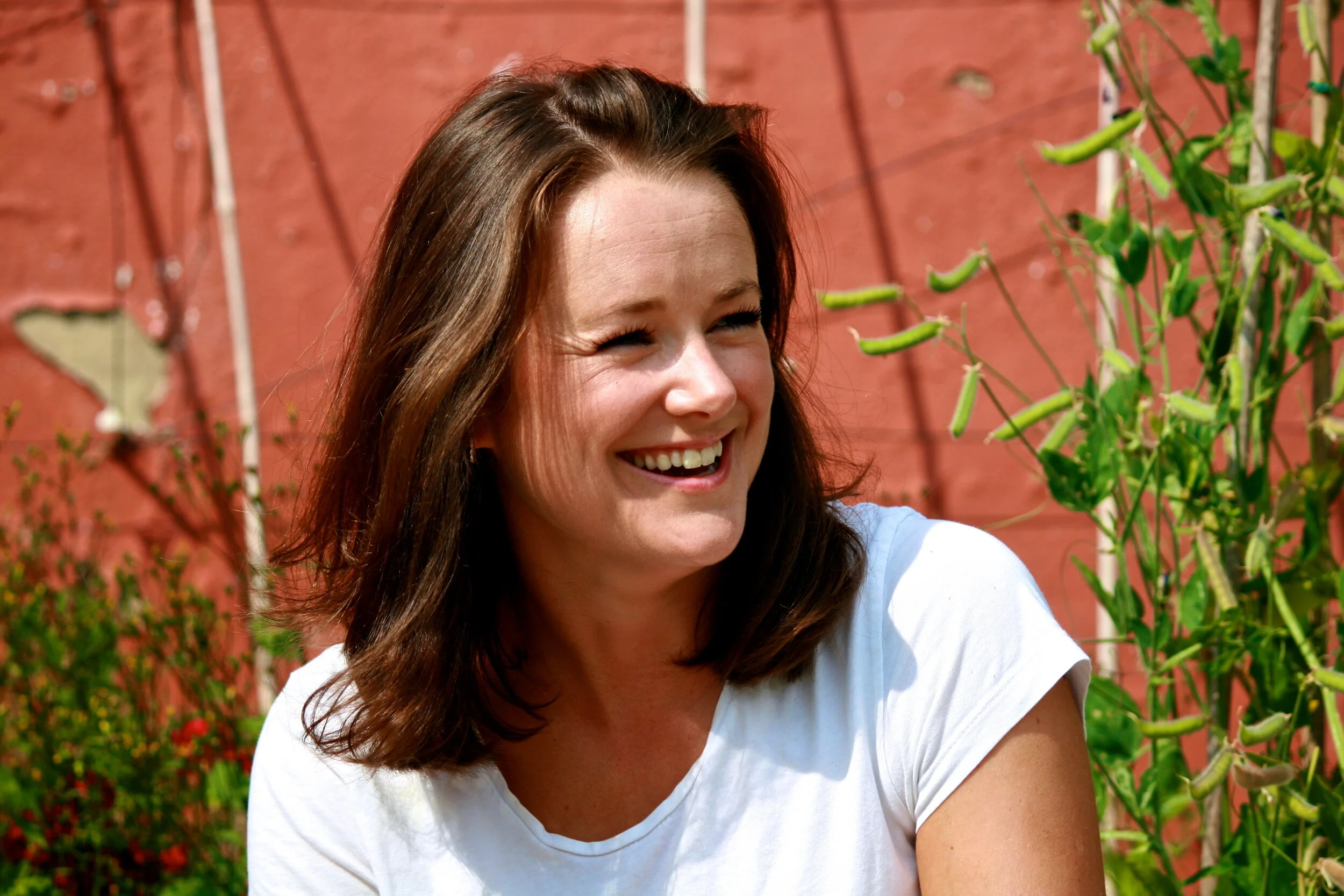 What causes inflammatory bowel disease?