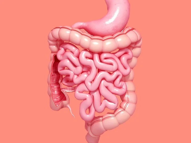 14 Tips for your gut health