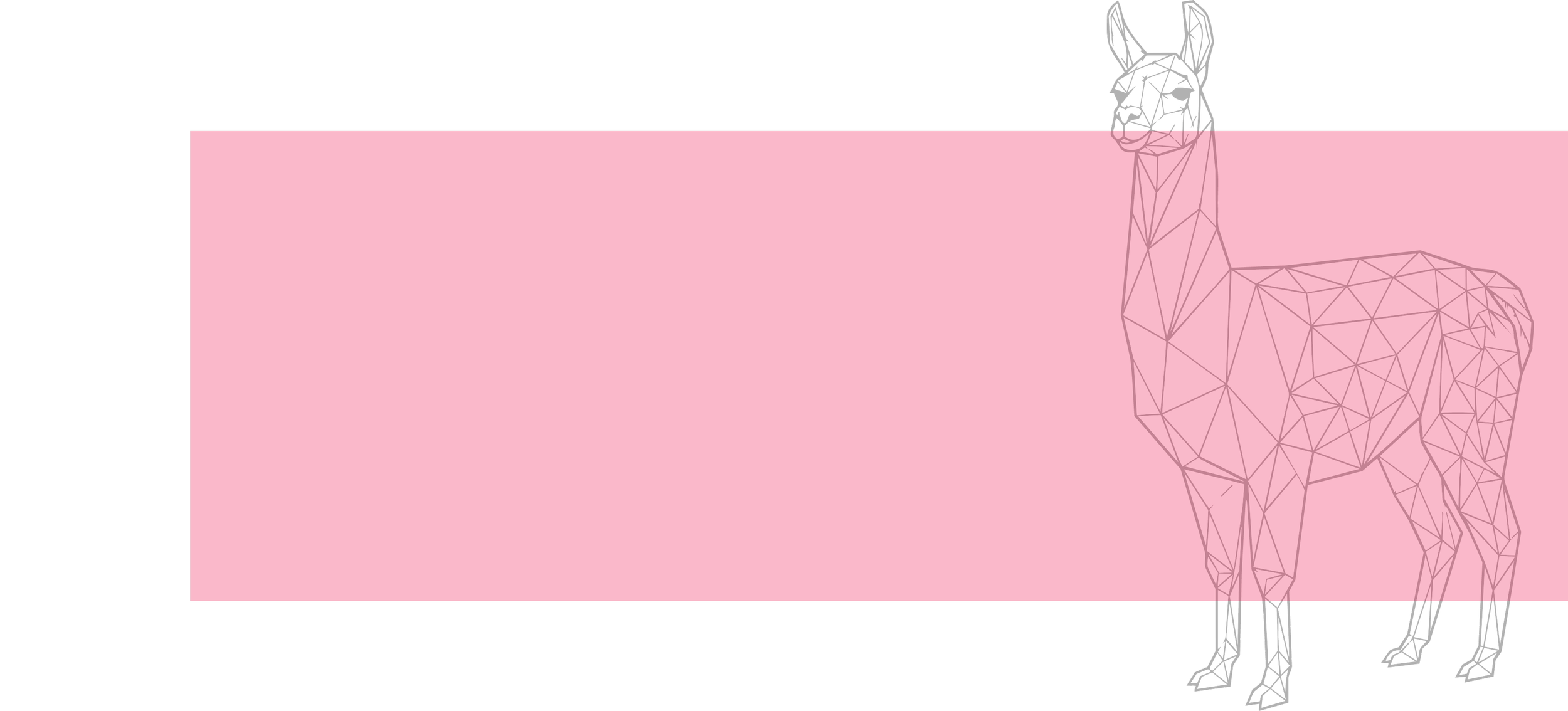 Llama_BG.png