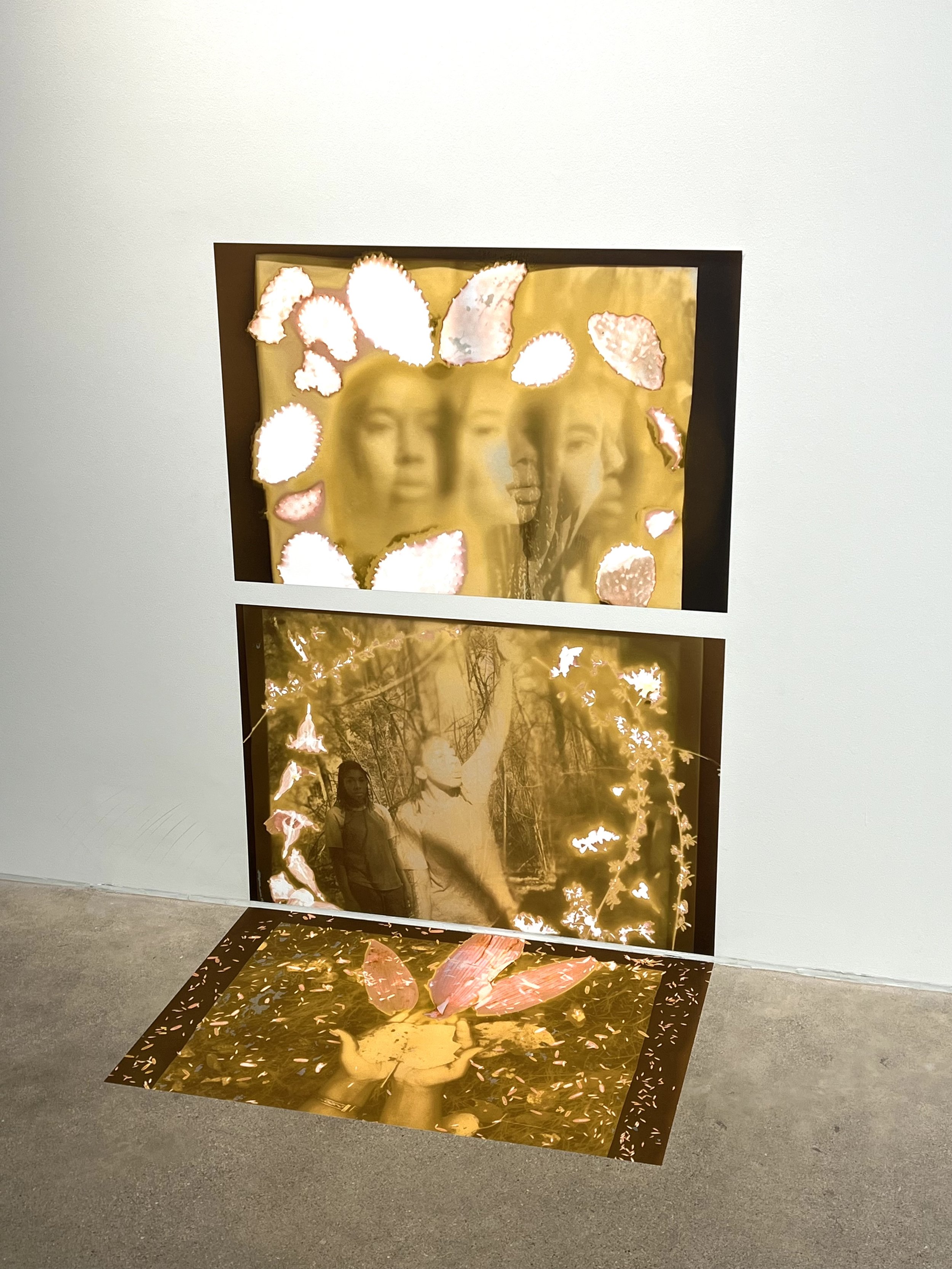  Installation of  First Contact  from the group exhibition “Nice To Meet You” at Rombach Gallery, Tucson, AZ 
