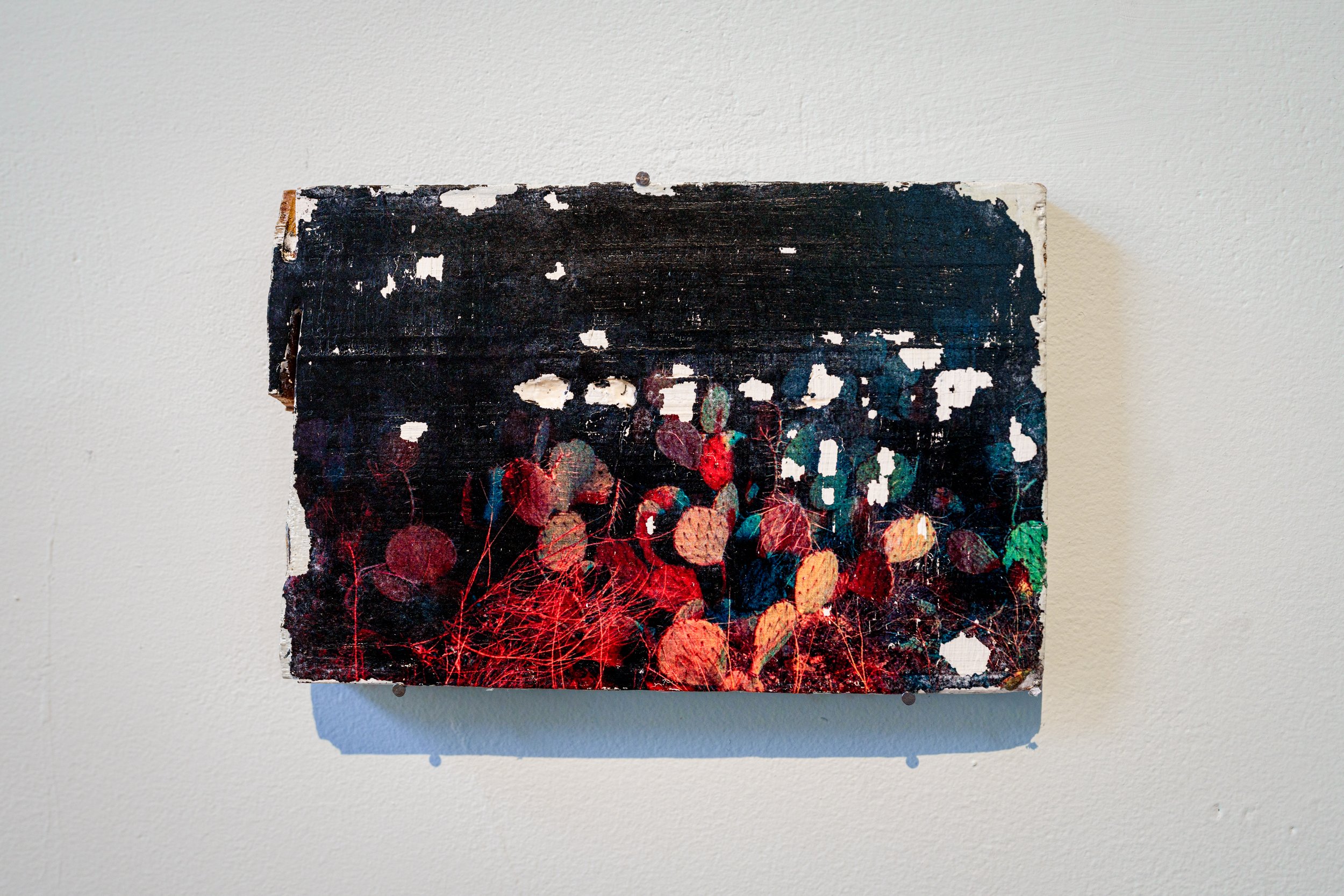  Detail shot of  Long Way From Home (earth’s wounds estan abiertas)  