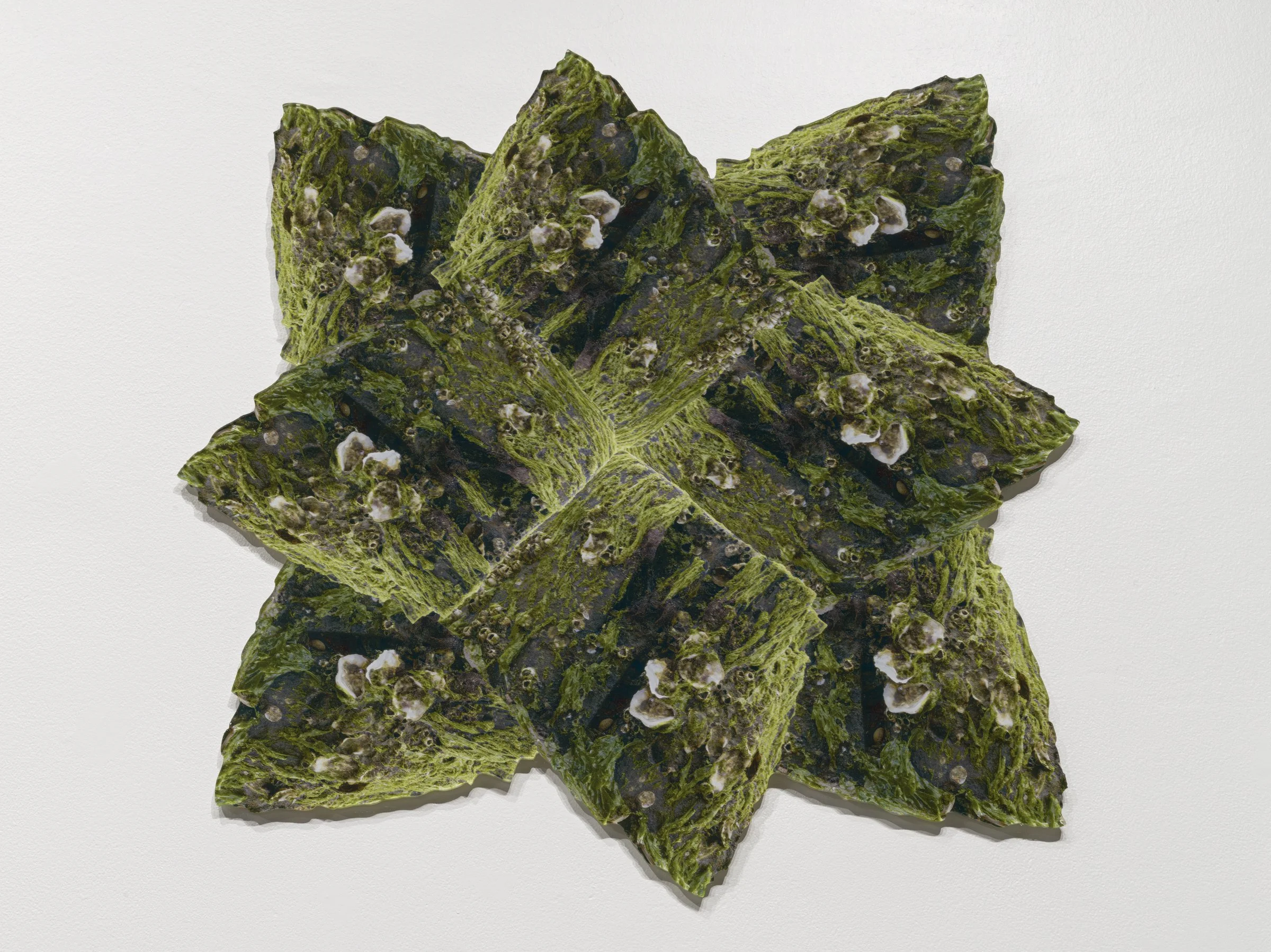 MFA_Thesis_2026_Maya_Jackson_2400-14.jpg