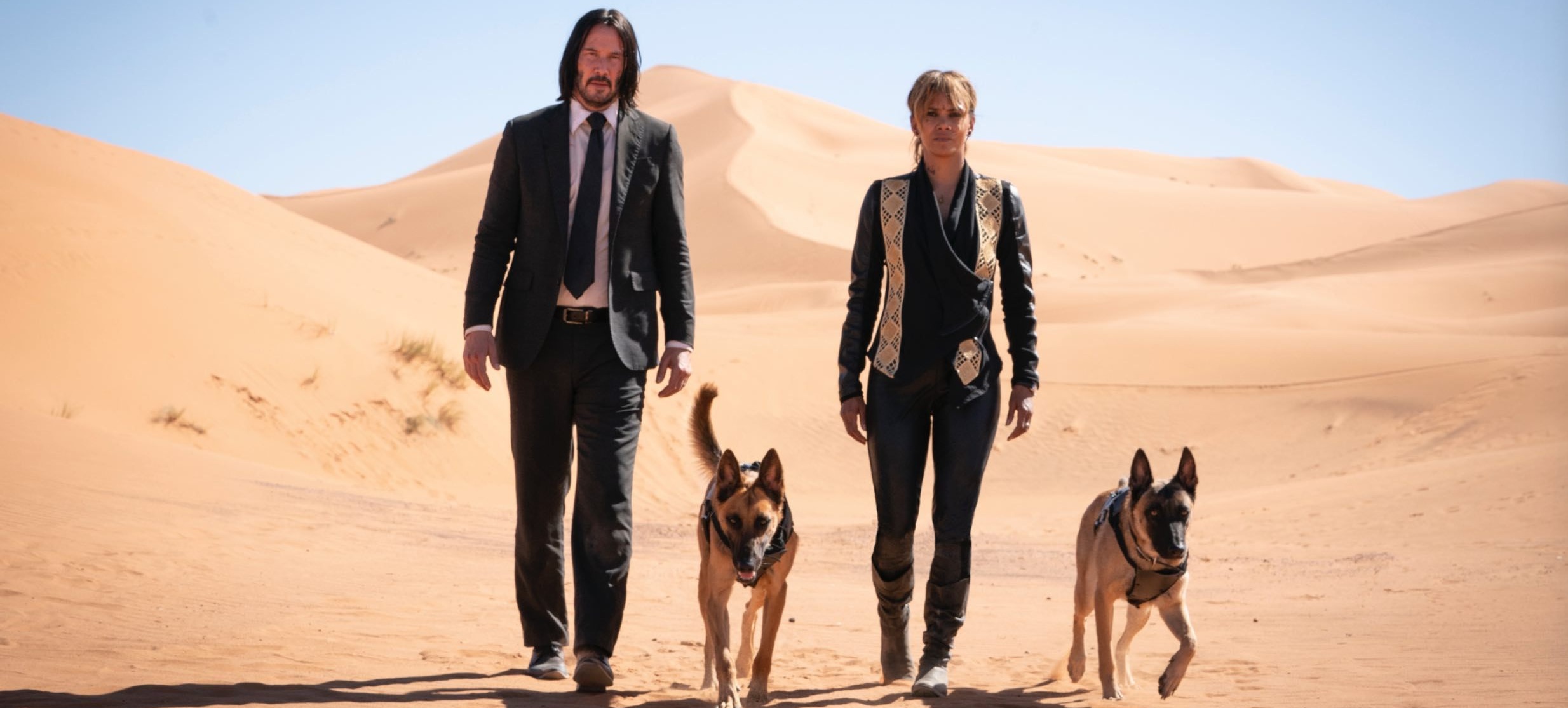 John Wick: Chapter 3 - Parabellum (2019) - IMDb