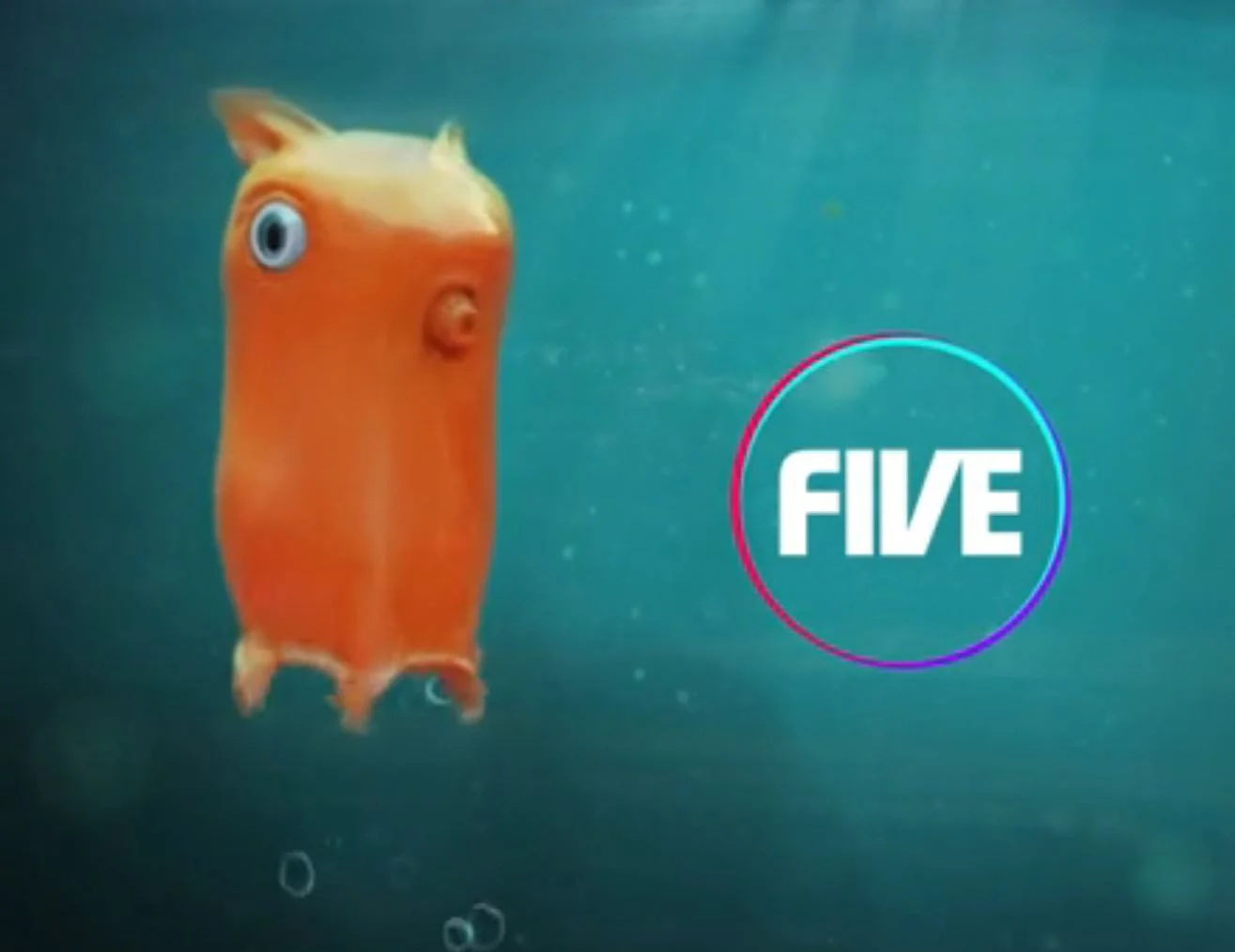 Five - Food Chain