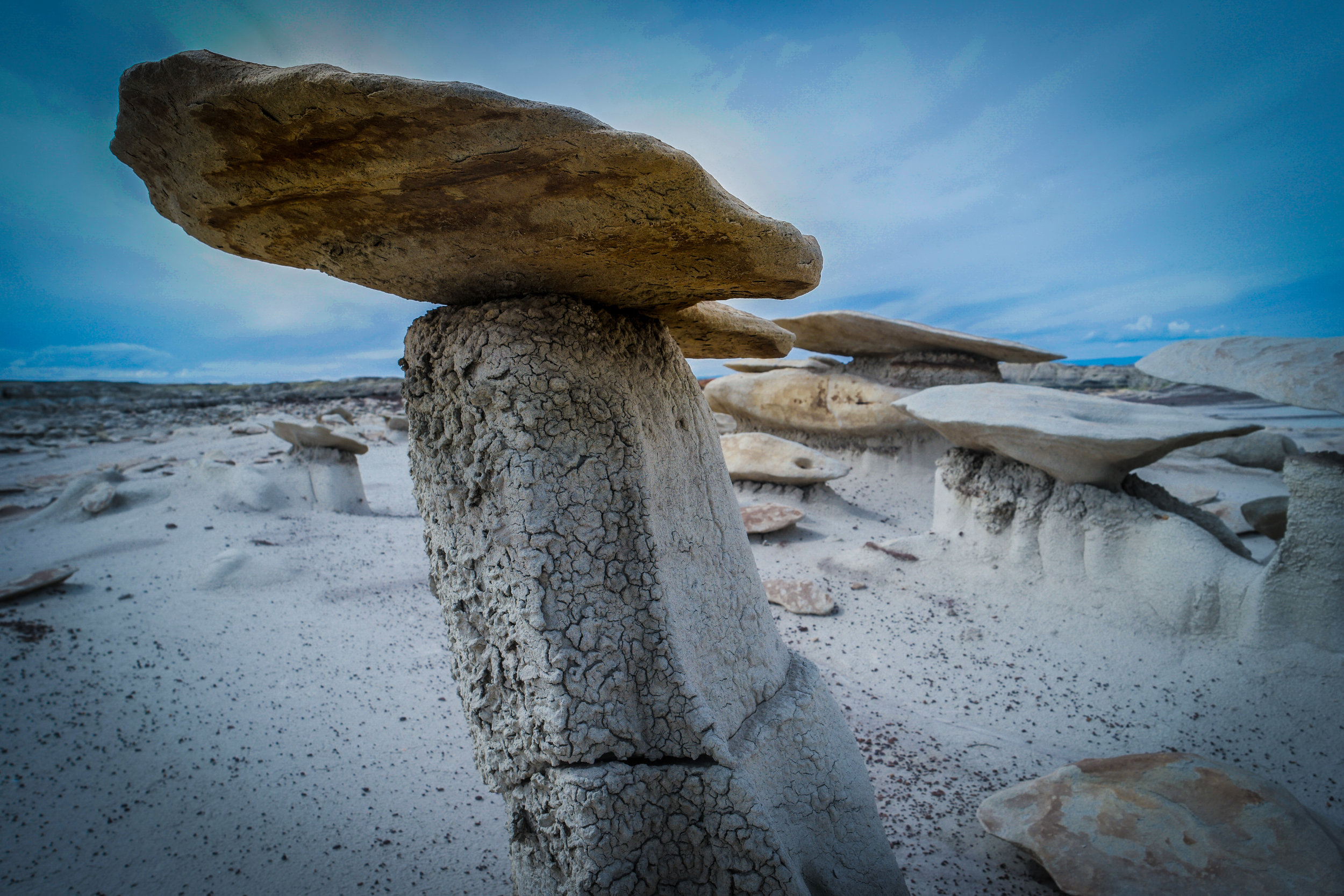 Mushroom Rocks_Bisti Badlands_NM.jpg