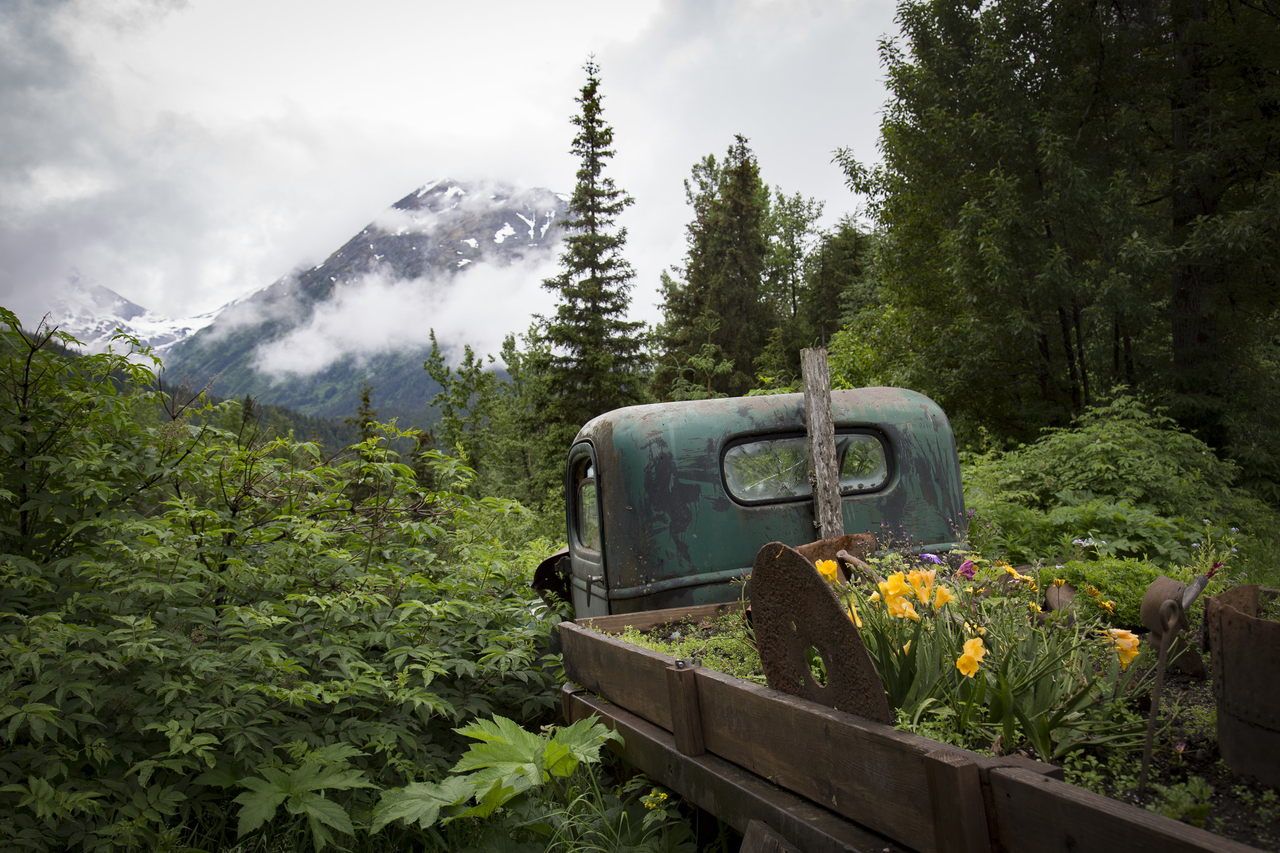 Alaskan Flower Pot.jpg