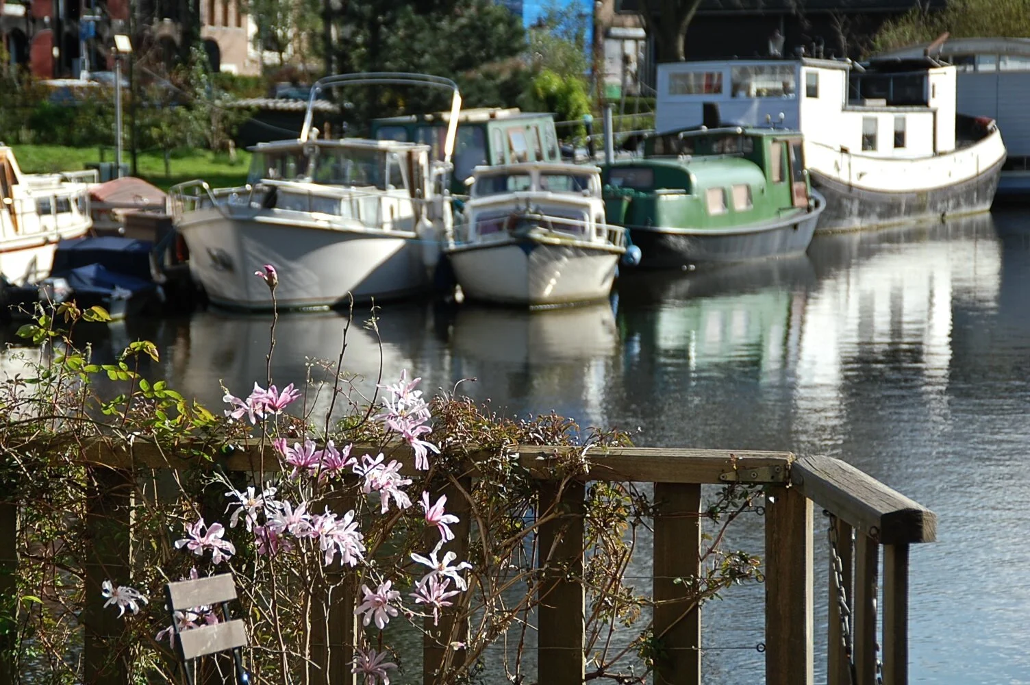 DSC_2278.jpeg