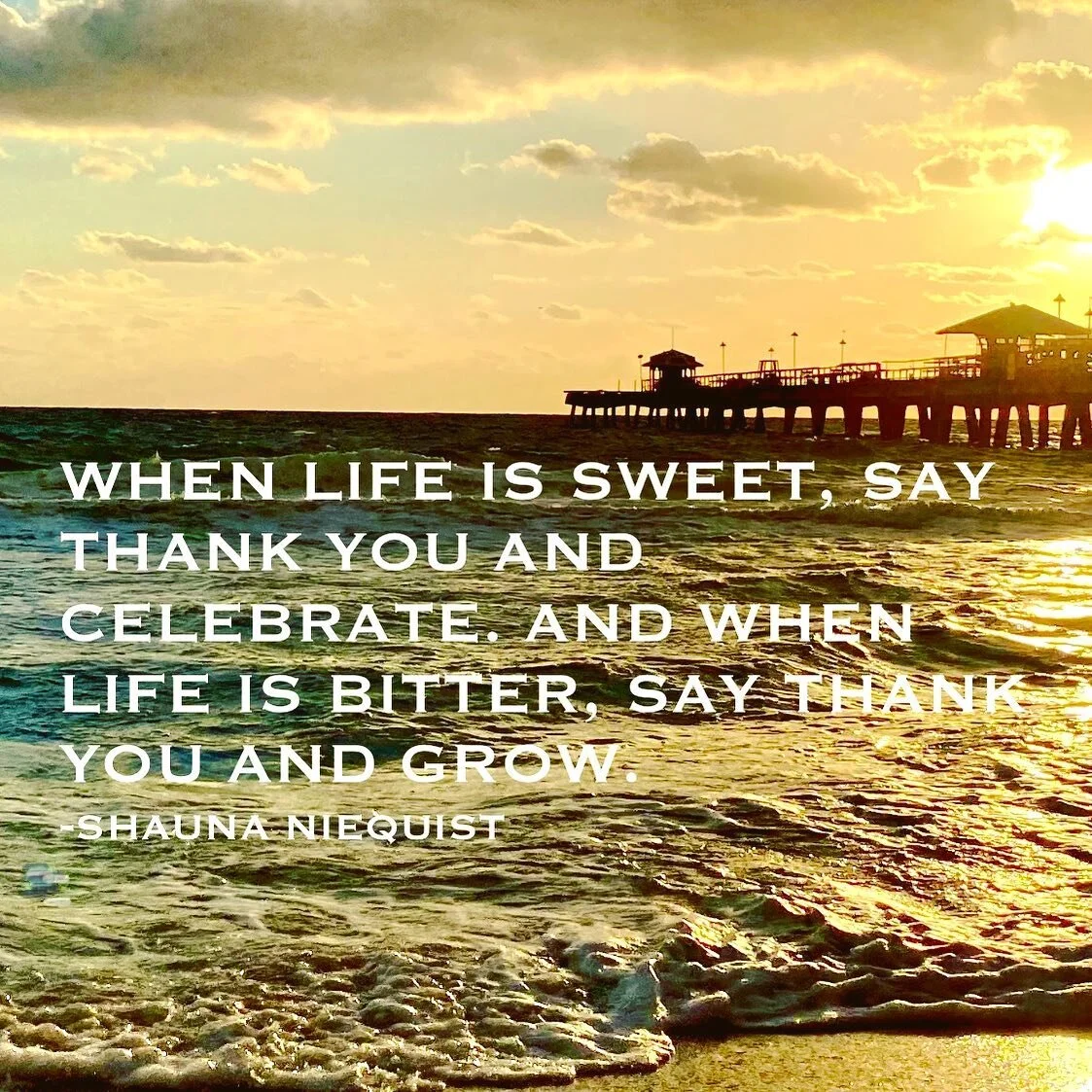 While 2020 has provided (too many!?!) moments where gratitude has felt near impossible, there is still M U C H to be thankful for. 
.
As we move deeper into the Yin energy of Autumn, gratitude self-practices are naturally supported by the season. Whe