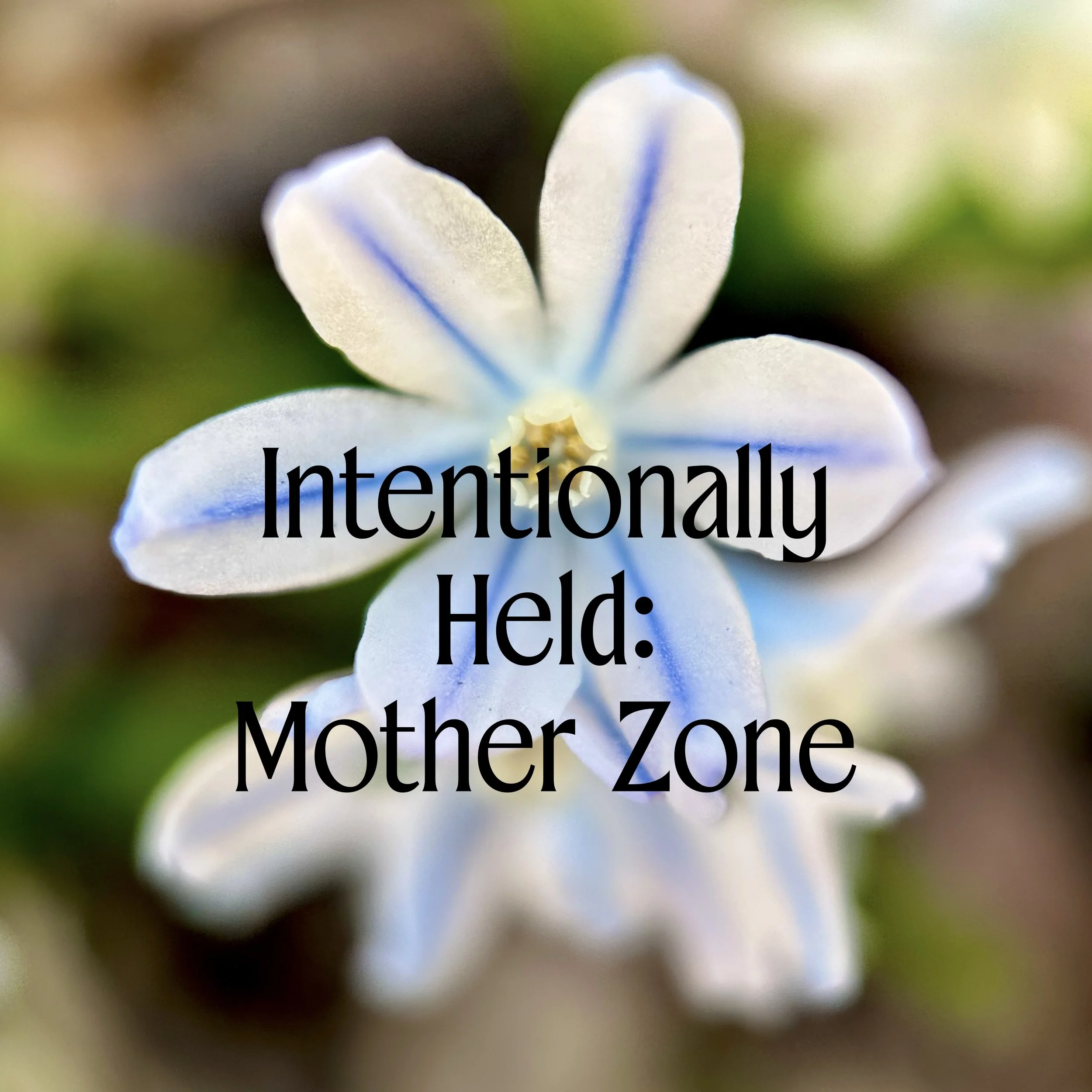 iHeld_MotherZone.jpg