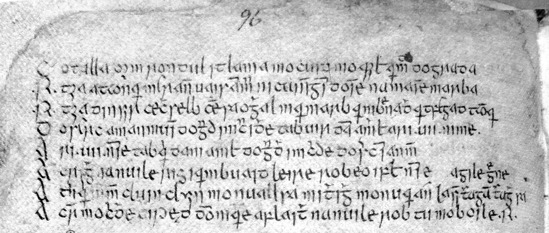 Fig. 1. Royal Irish Academy 23 N 10 (16th century), pp. 95-96.
