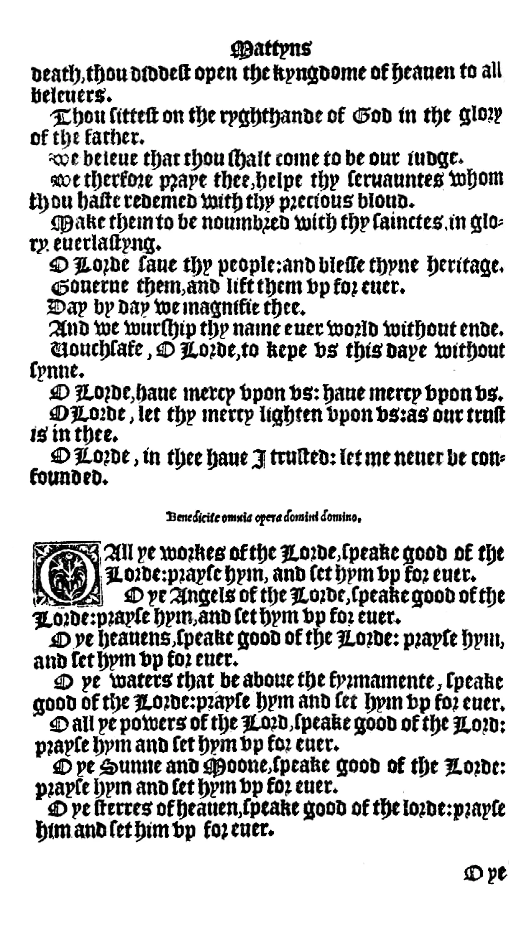 bcp1549-28.jpg