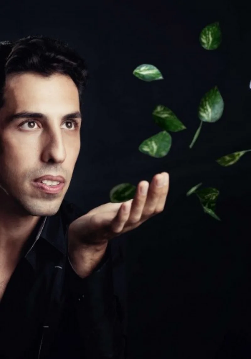 vitaly_leaves.jpg