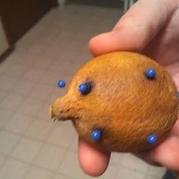 The look and feel of the lemon perfectly mirrored the changes in the tumour. The tumour in question was a spindle cell tumour on the right hind leg of my beloved late dog, Ruby Tuesday. The tumour had completely necrotized and sloughed off her leg, leaving nothing but a scar.