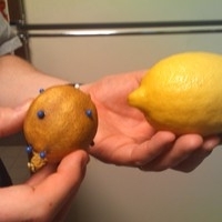  The lemon on the left started out looking just like the lemon on the right!   