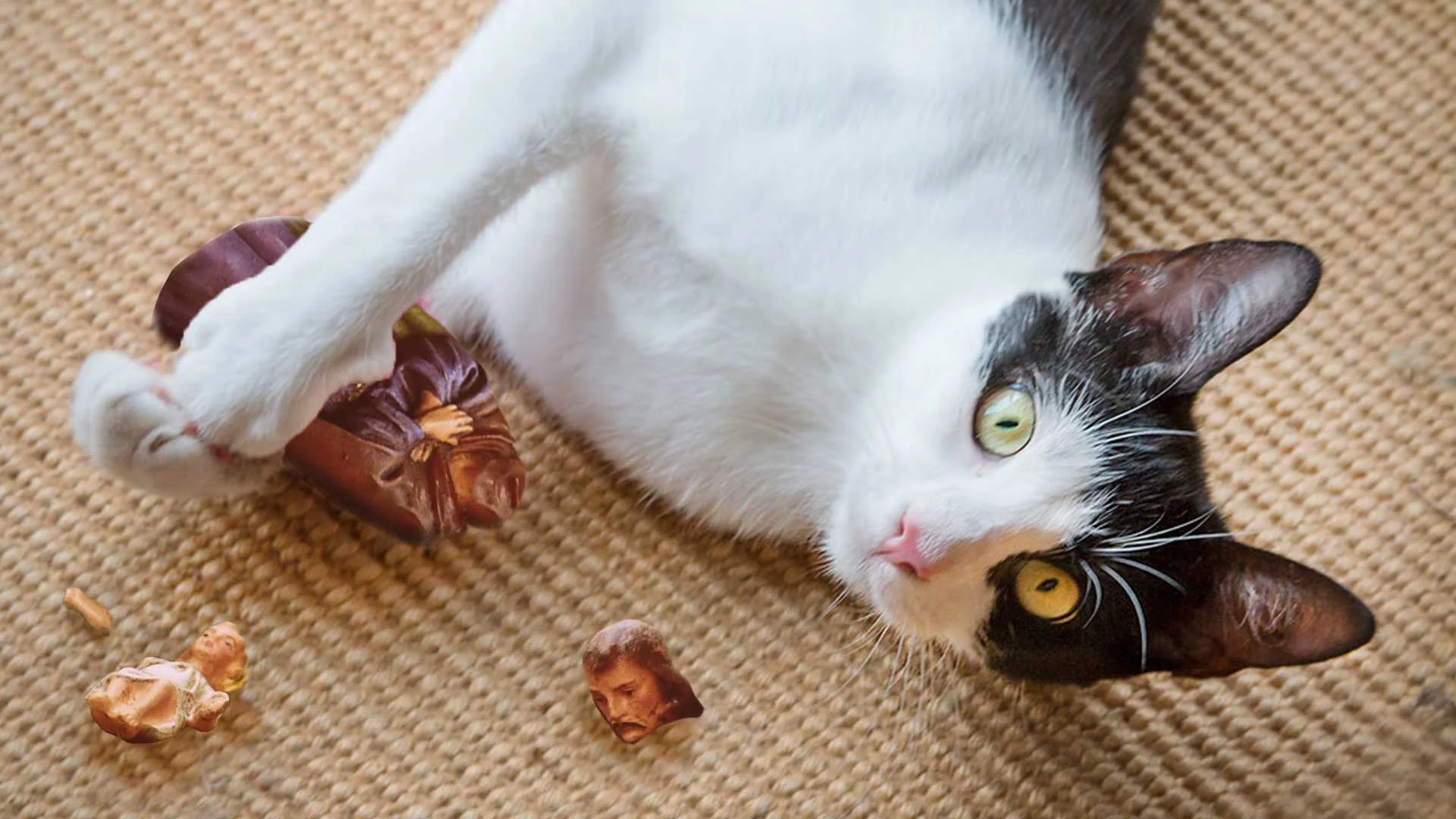 Blasphamous-Cat-Destroys-Fire-Place-Nativity-Scene.jpg