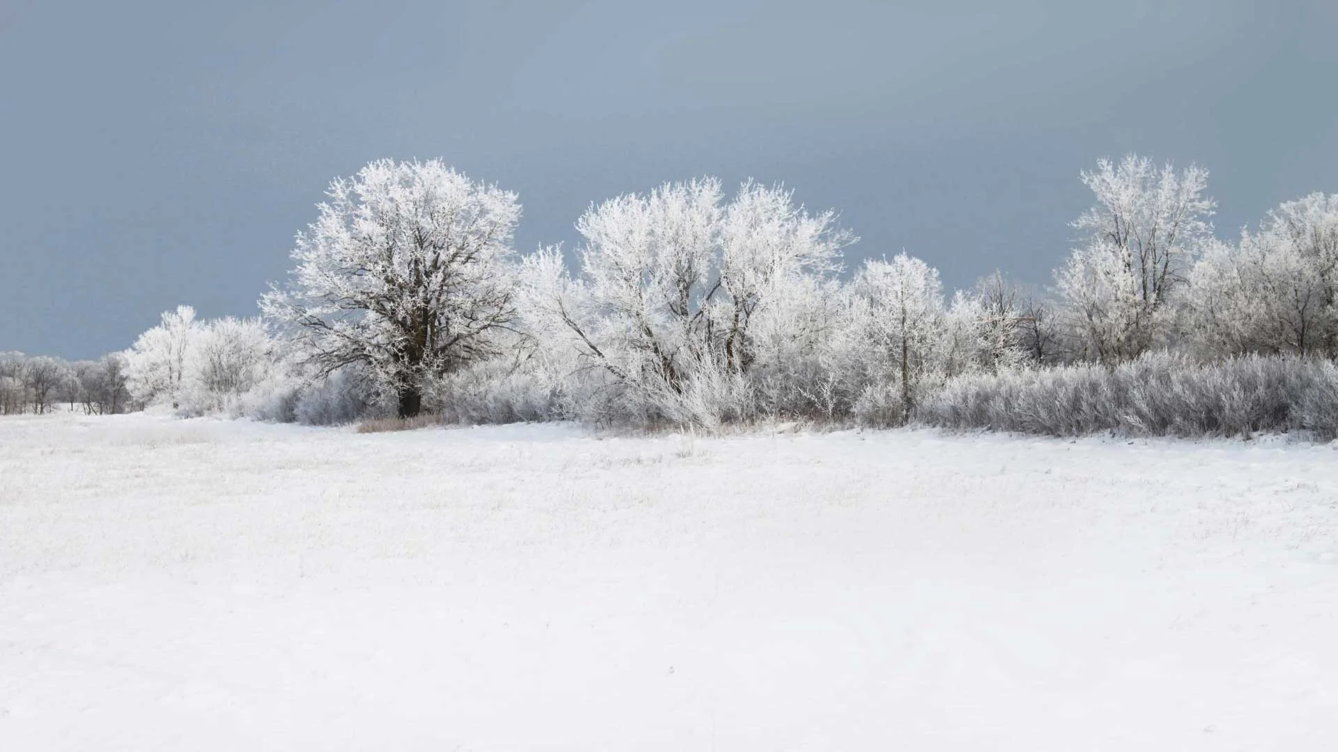 Fun-Midwestern-Fact--'Stay-Warm'-Means-Both-Hello-and-Goodbye-in-Minnesotan.jpg