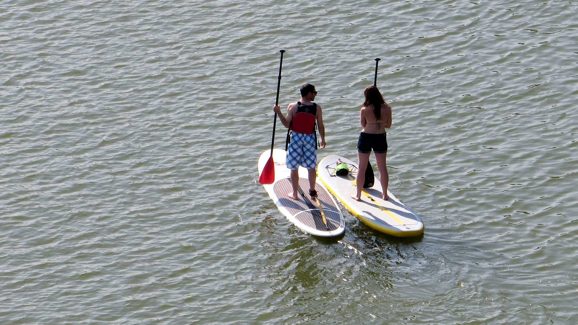 7-Paddle-Boarder-Pile-Up-Brings-Lake-Traffic-to-a-Standstill.jpg