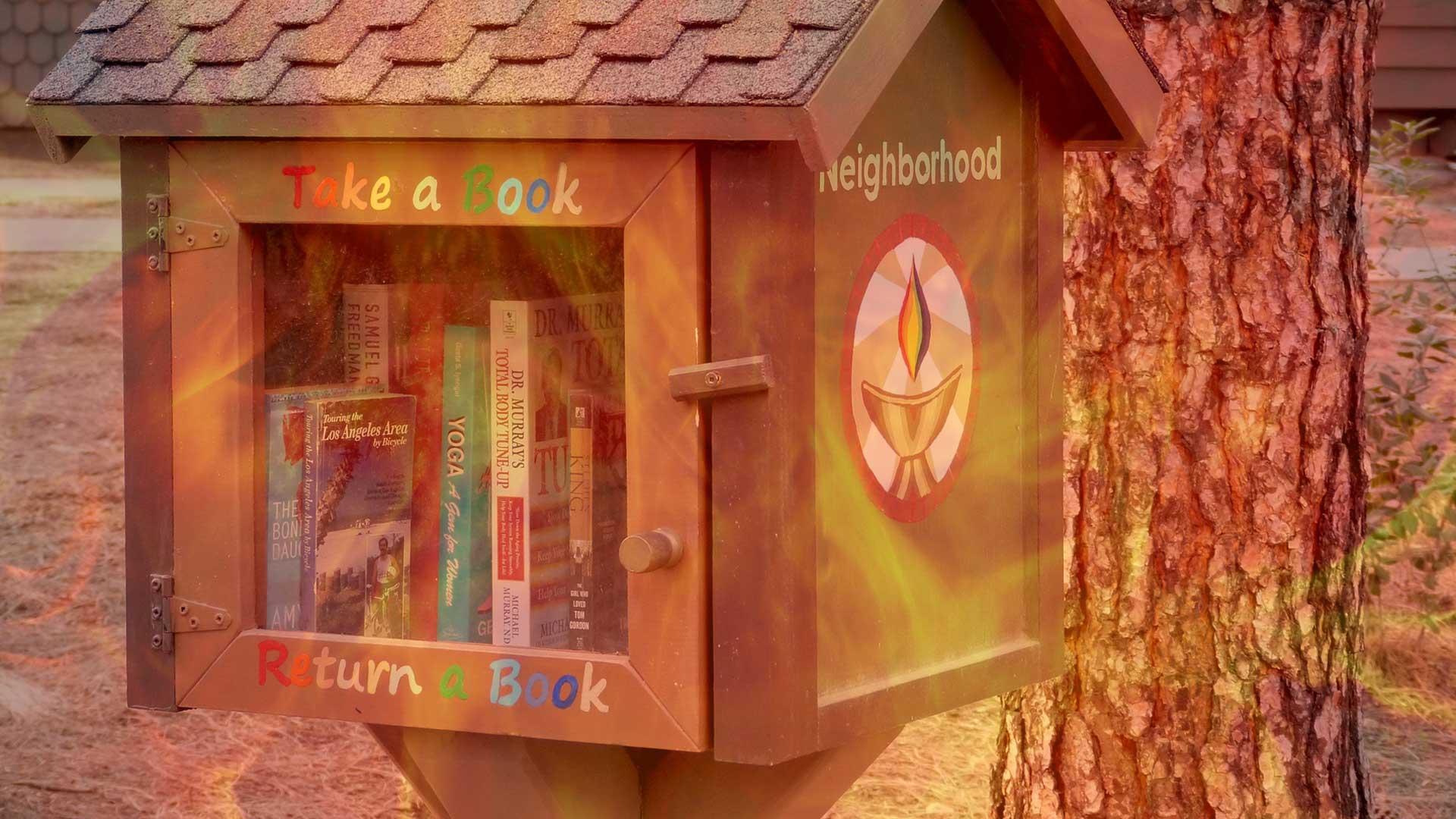 Year-3020--Charred-Remains-of-South-Minneapolis-Contain-Hundreds-of-Sealed-Miniature-Capsules-Preserving-Humanitys-Worst-Books.jpg
