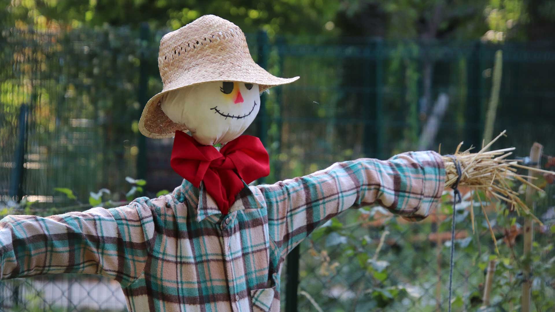 Local-Scarecrow-Not-Sure-What-It-Did-to-Deserve-Crucifixion.jpg