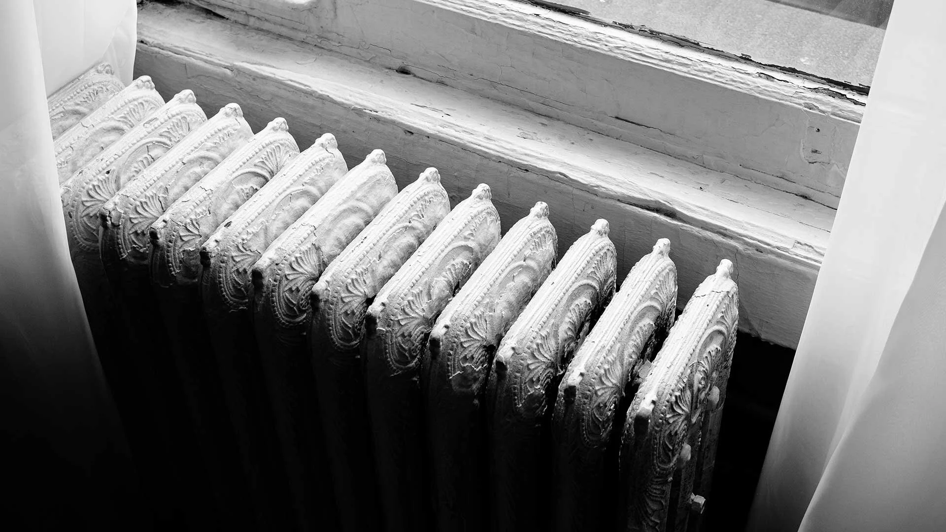 Photo by  Conal Gallagher