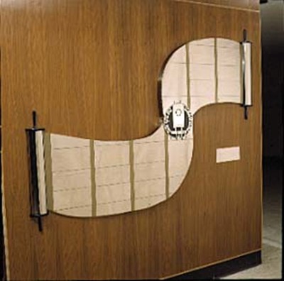 Shaped Torah.jpg