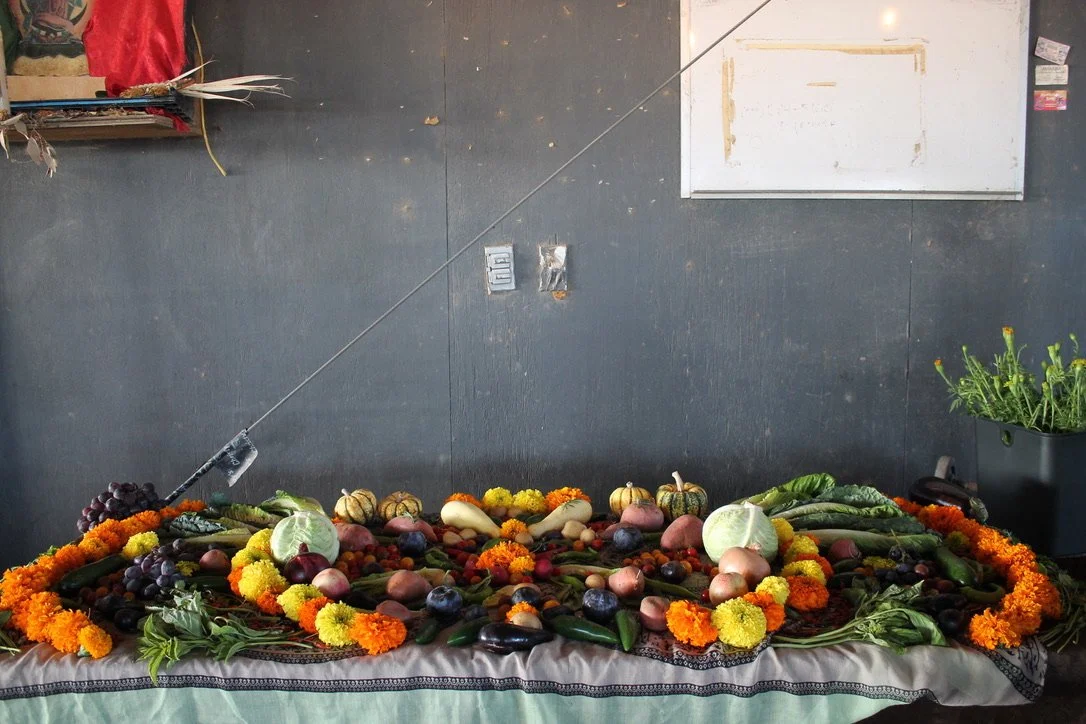 755D674E-093F-475C-A932-2E9CCC7AB927_1_105_c (1).jpeg