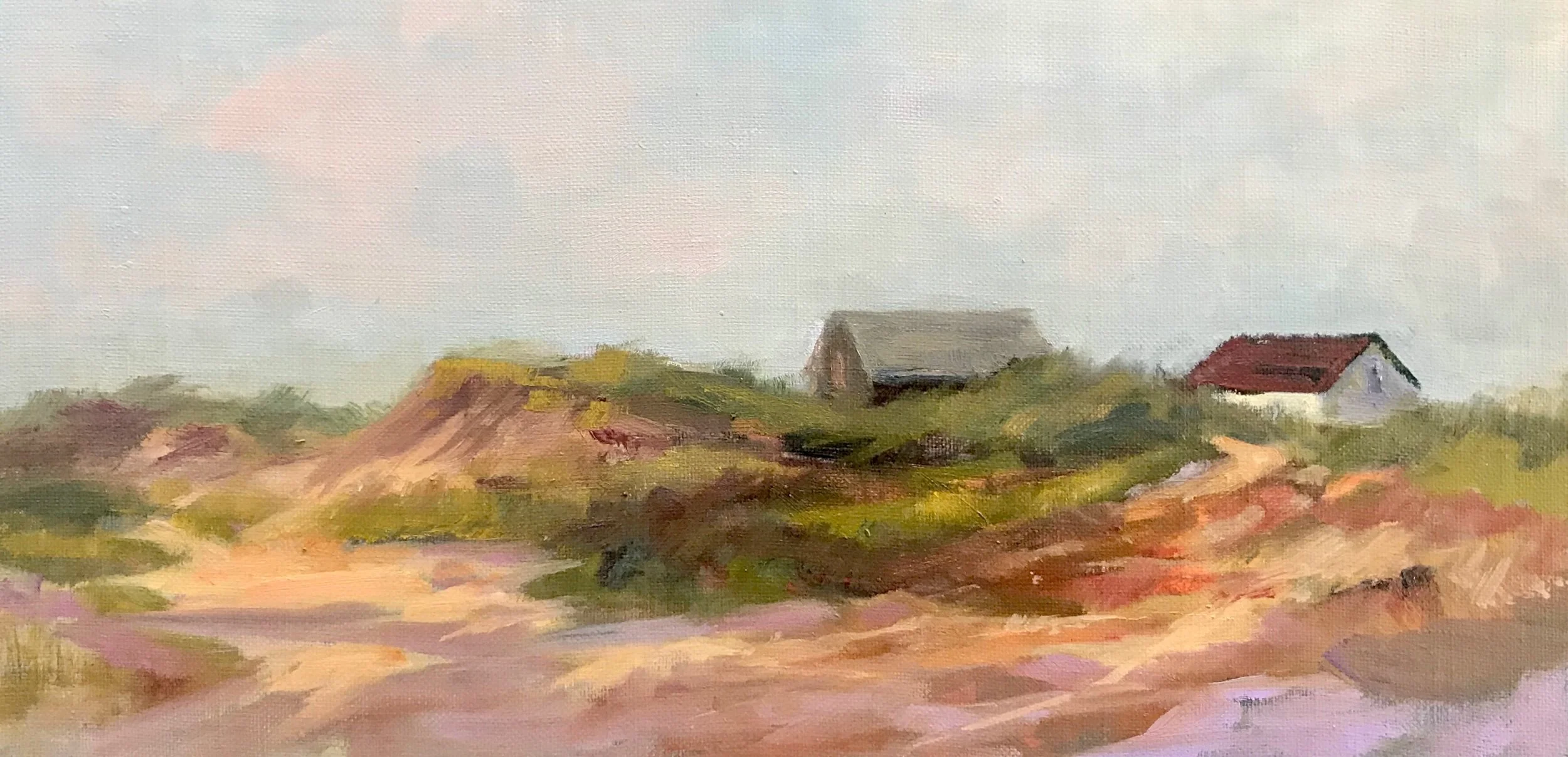 Provincetown Dunes
