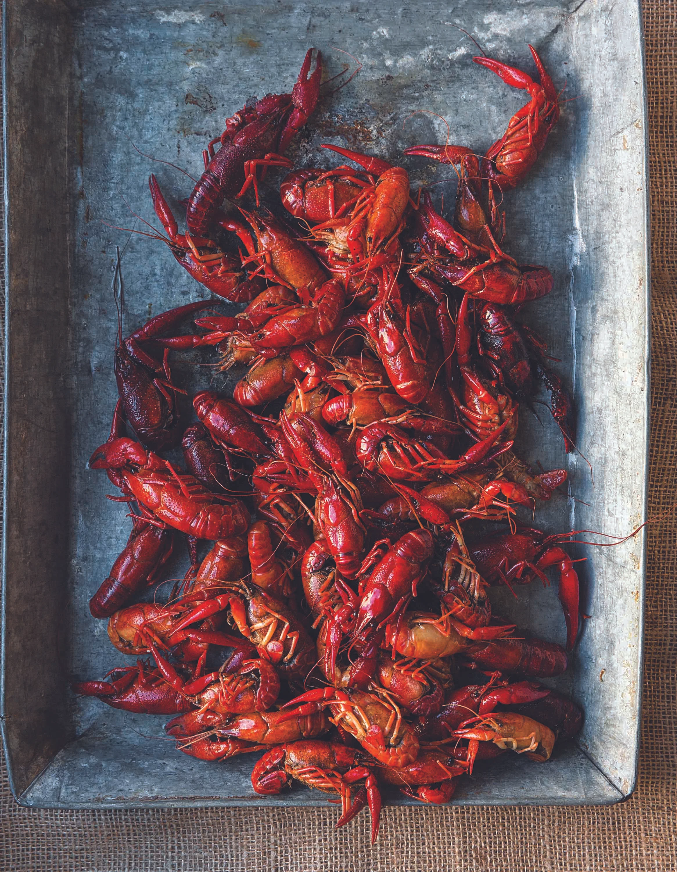 Born on the Bayou; photo by Ingalls Photography for SAVEUR