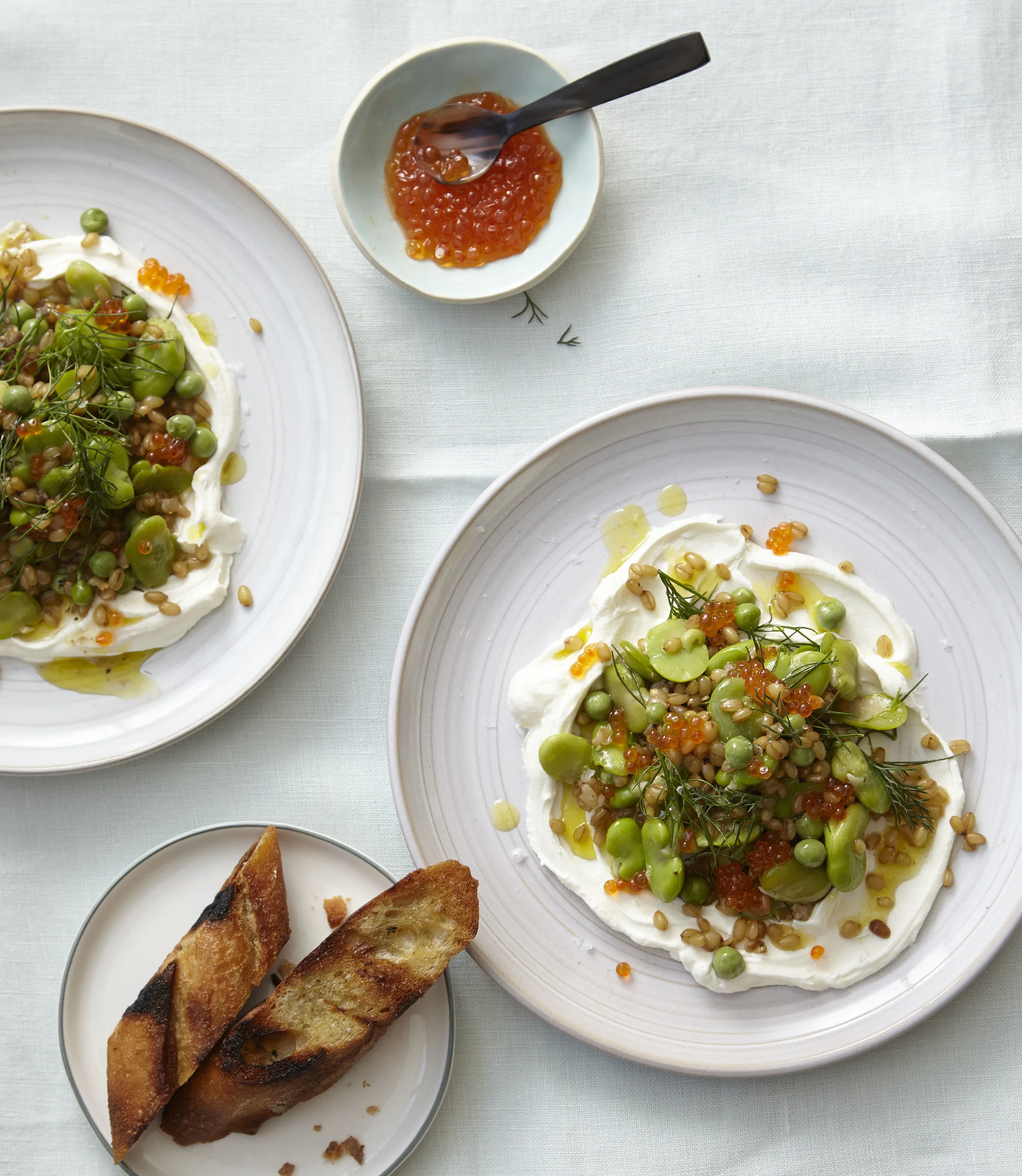 Wheat Berry Salad with Favas and Trout Roe; photo by Romulo Yanes for SAVEUR