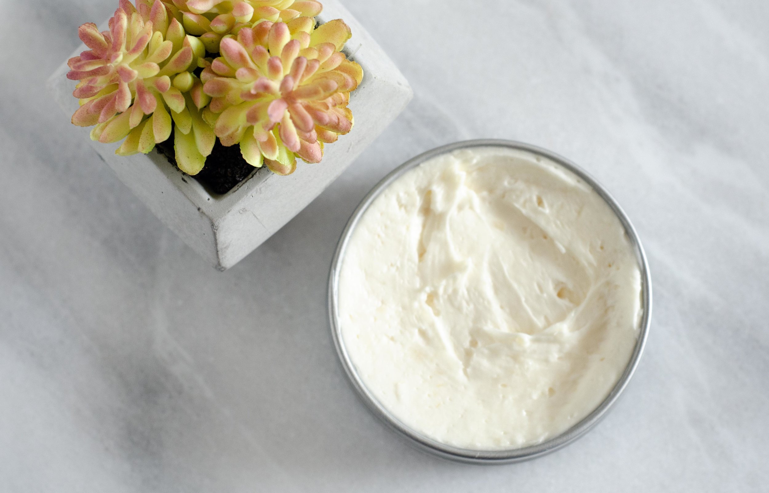 hand salve cactus.jpg