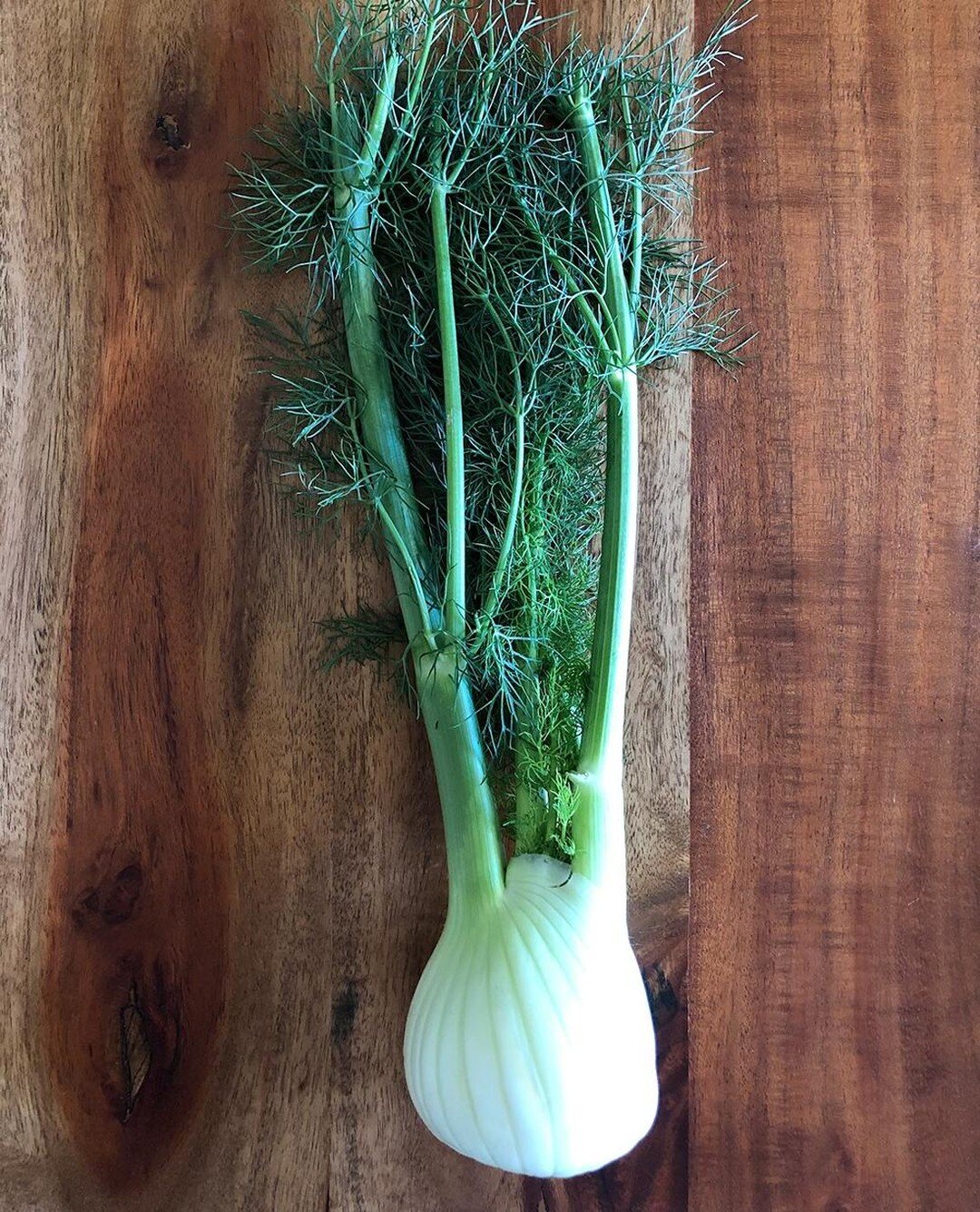 Did you know fennel is perennial herb from the carrot family, indigenous to the shores of the Mediterranean? ⁣
🌿
Fennel seeds are used to create this nourishing essential oil. It&rsquo;s fragrance is not only licorice-like but also herbaceous and sw