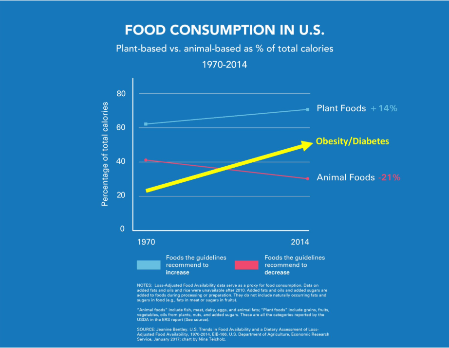 Time for Activism: USDA 2020 Nutritional Guidelines