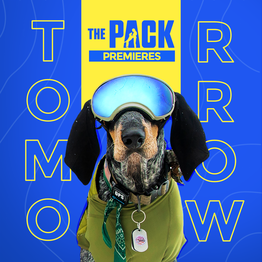 ADOG_S1_01860_SPStatic_Countdown_Tomorrow_1x1_v2_SS.png