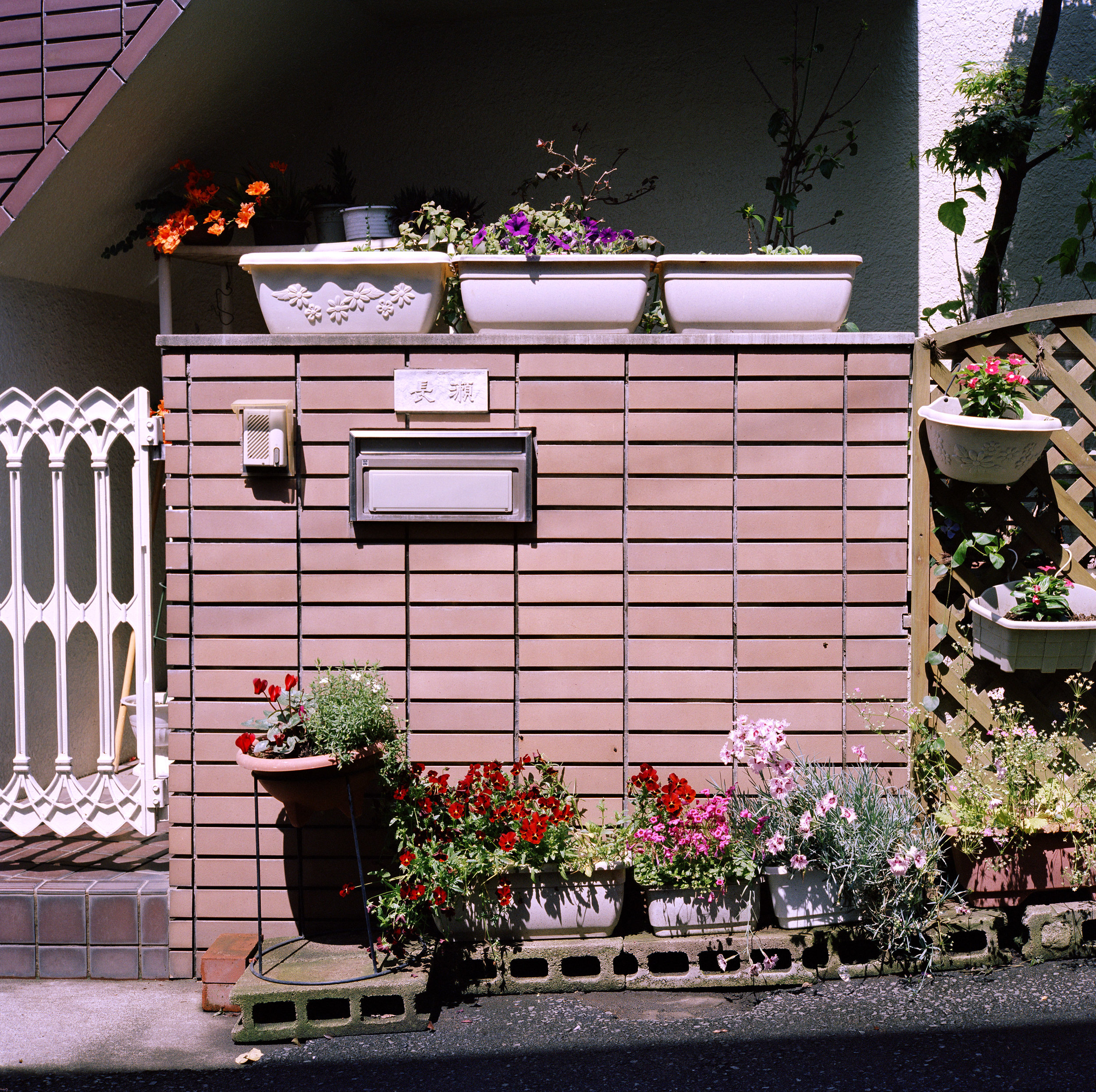 Wall&Plants#2MASTER.jpg