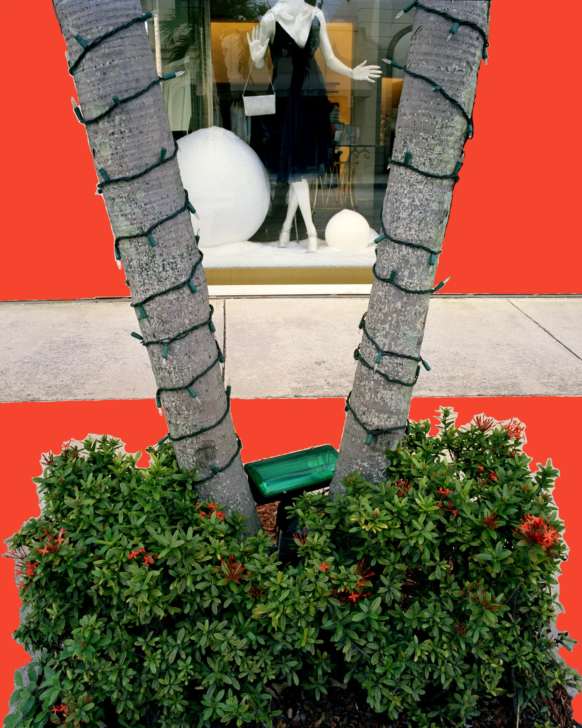PalmBeach5.jpg