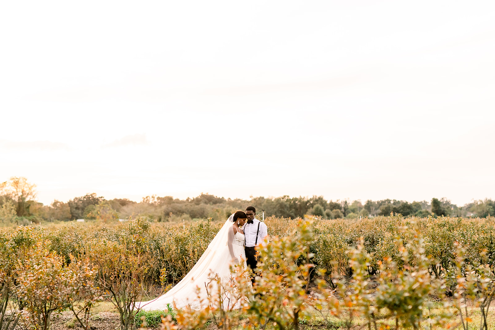 BlueView_Barn-133_websize.jpg