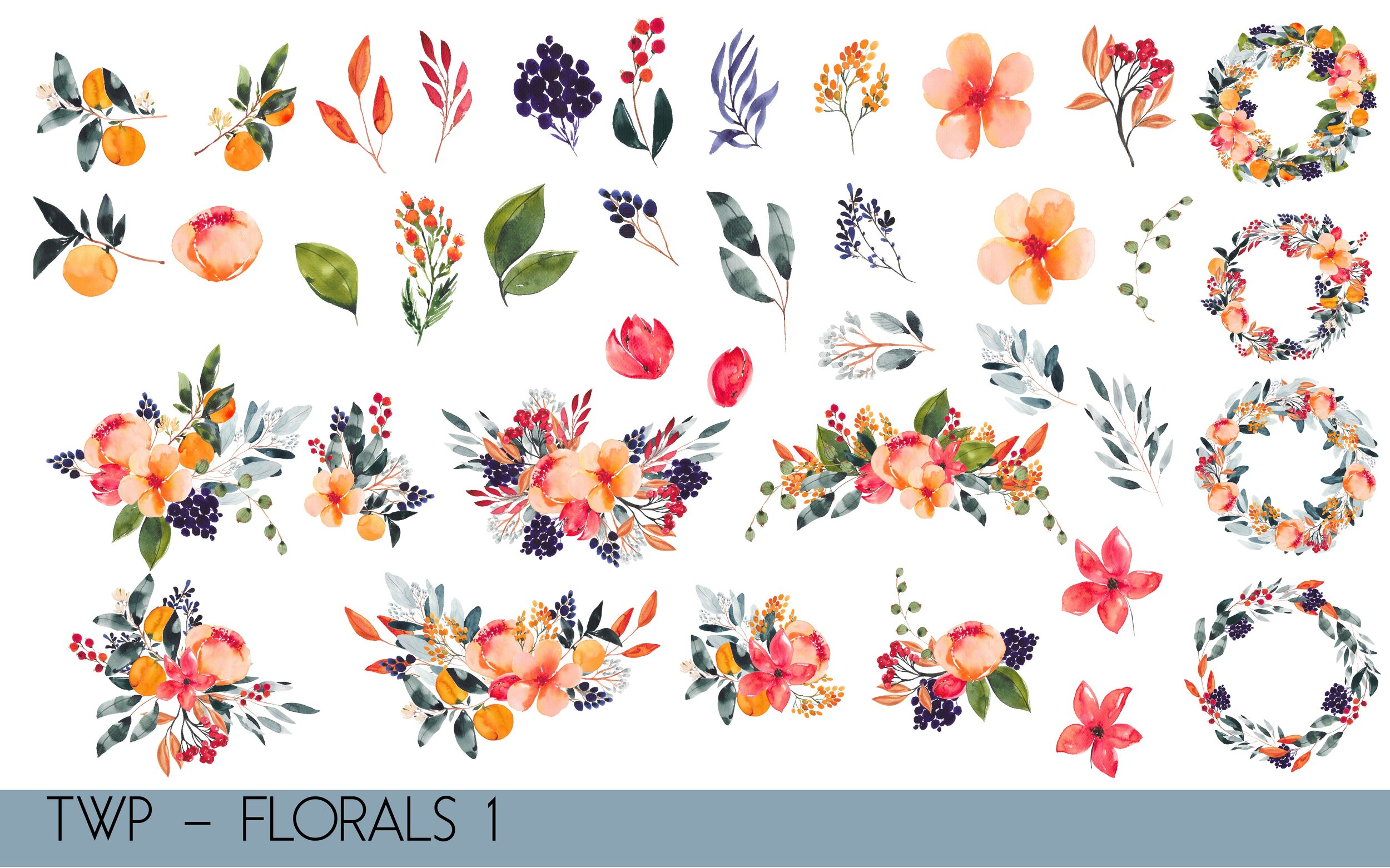 TWP - Colored Florals- illustrations-01.jpg