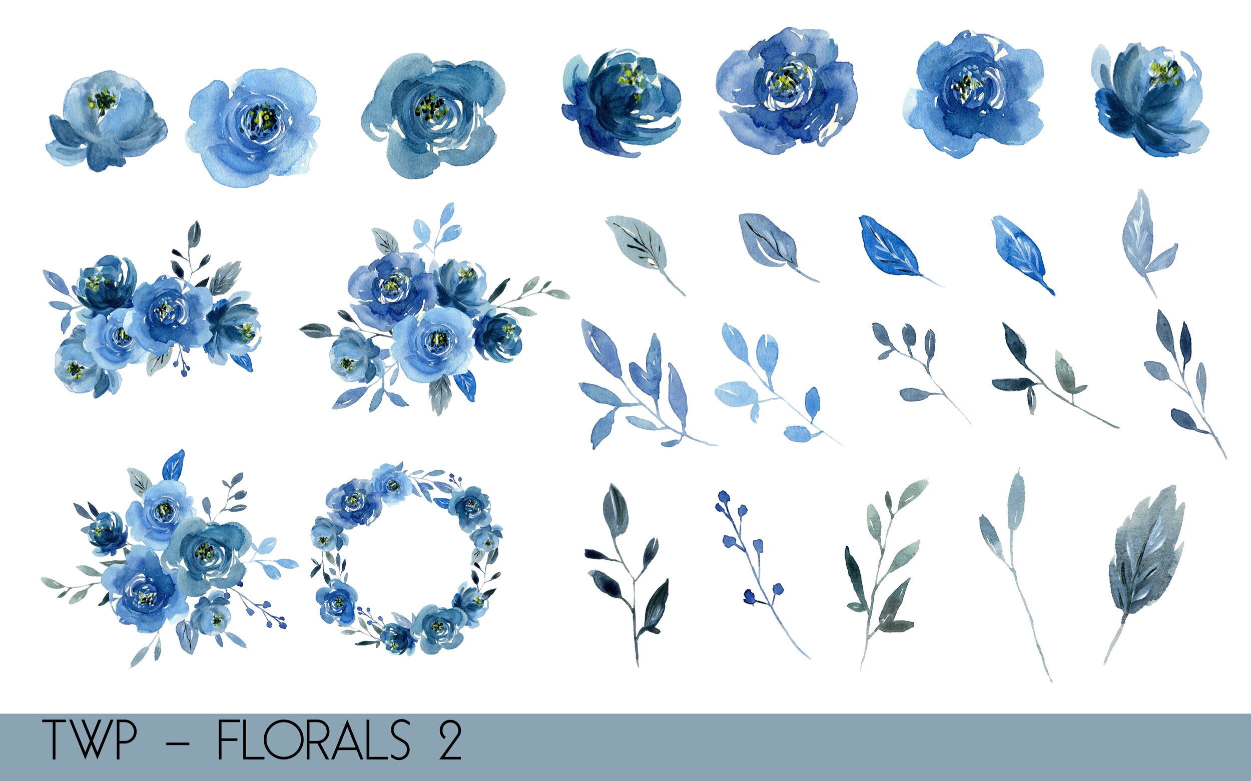 TWP - Colored Florals- illustrations-02.jpg