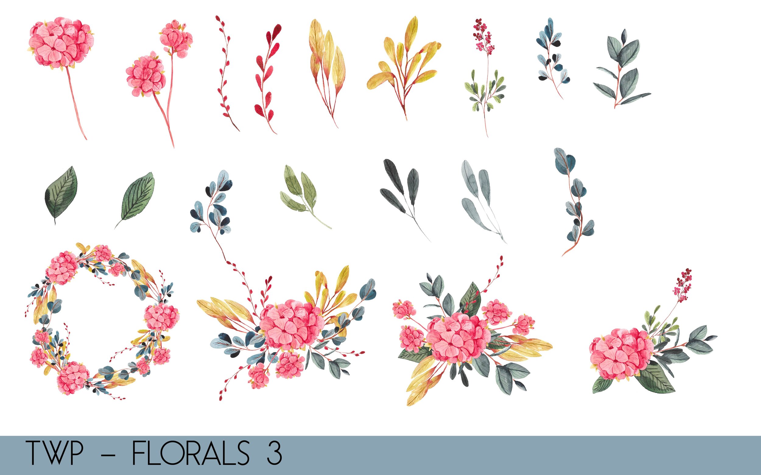 TWP - Colored Florals- illustrations-03.jpg