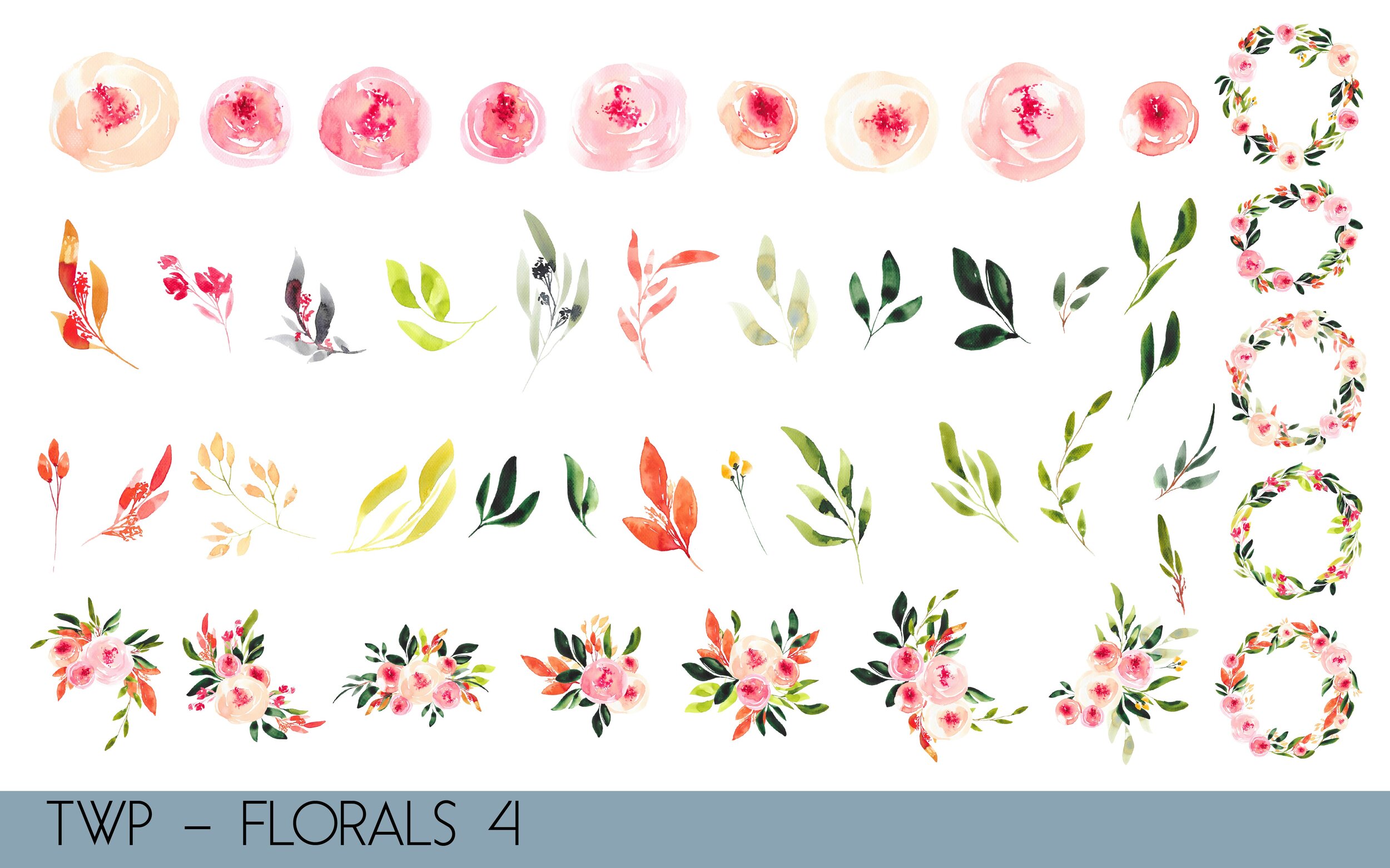 TWP - Colored Florals- illustrations-04.jpg
