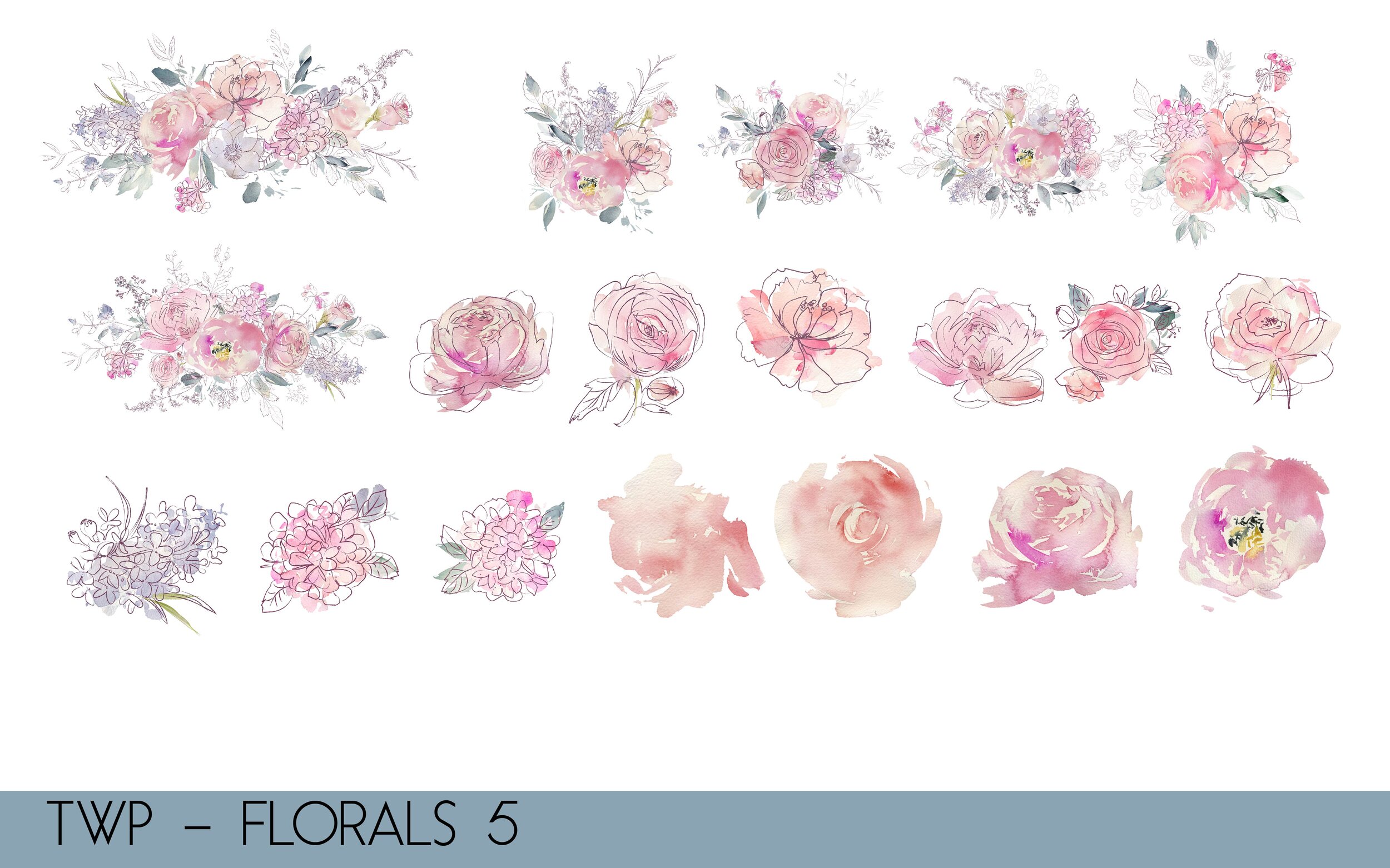 TWP - Colored Florals- illustrations-05.jpg