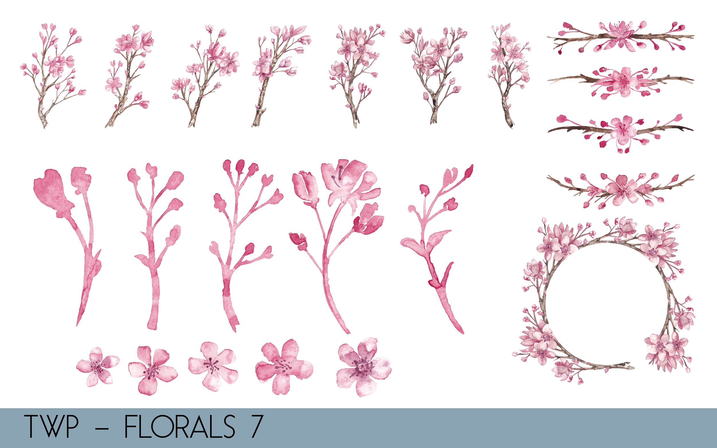 TWP - Colored Florals- illustrations-08.jpg