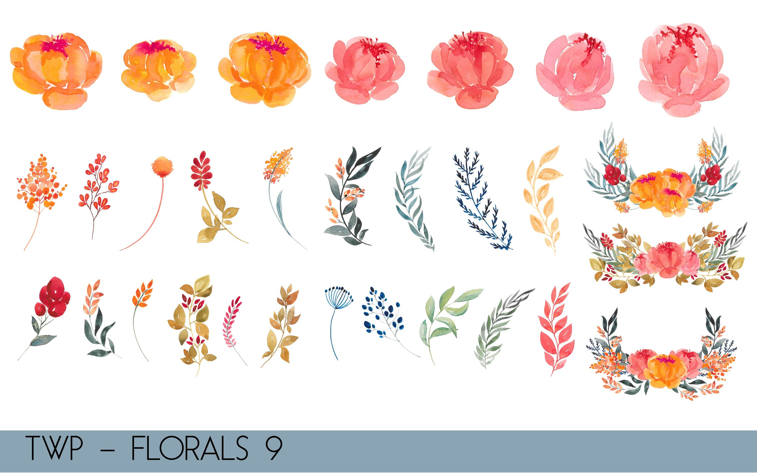 TWP - Colored Florals- illustrations-10.jpg