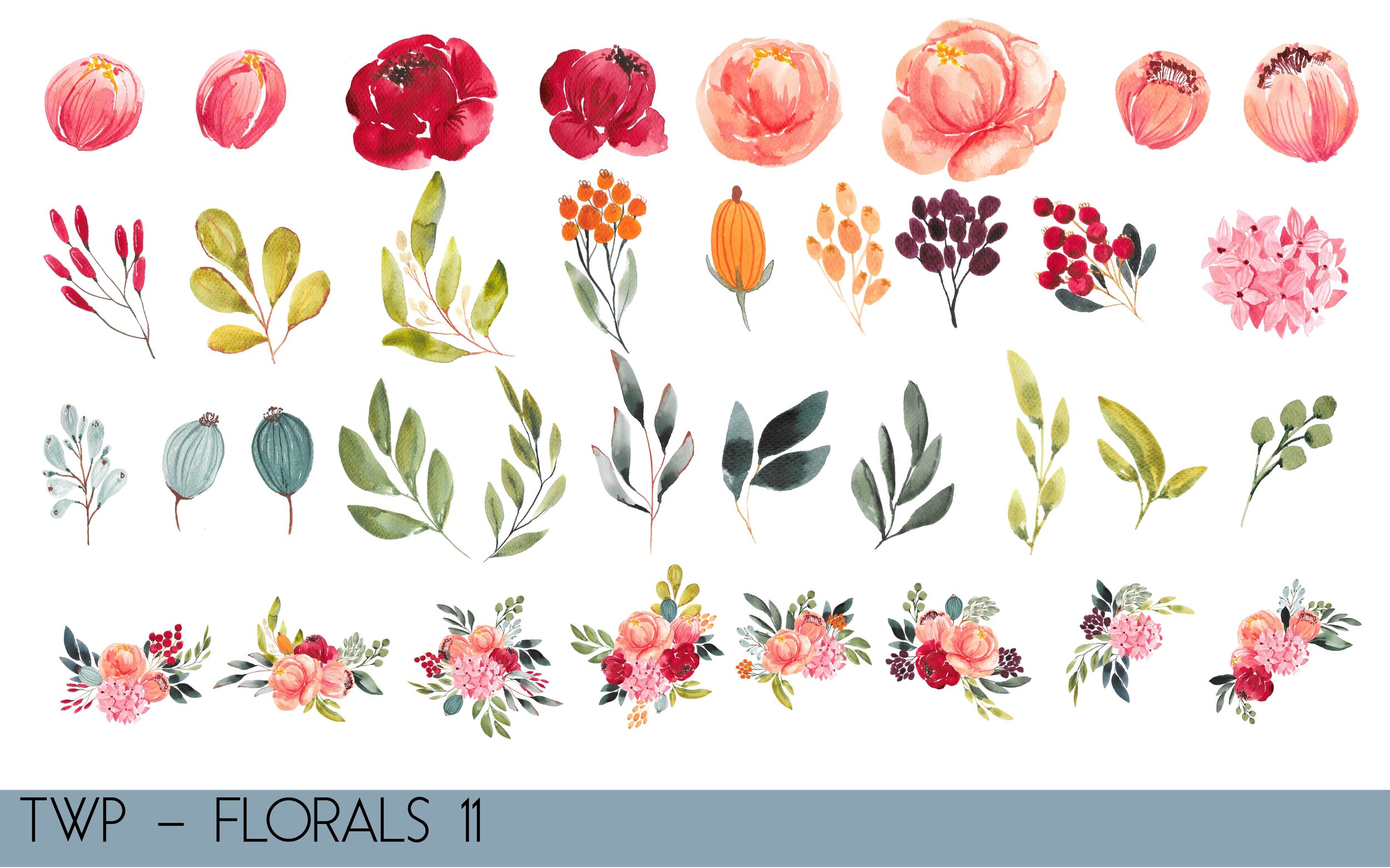 TWP - Colored Florals- illustrations-13.jpg