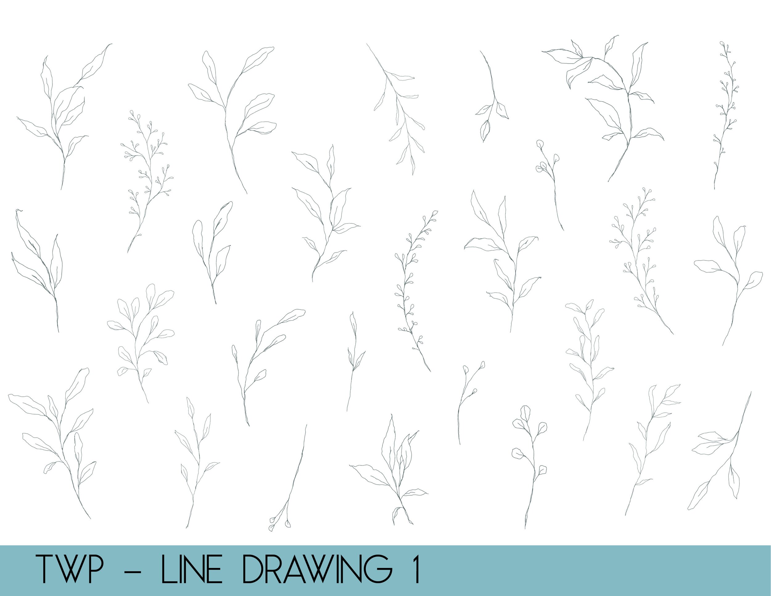 line drawings - website.jpg